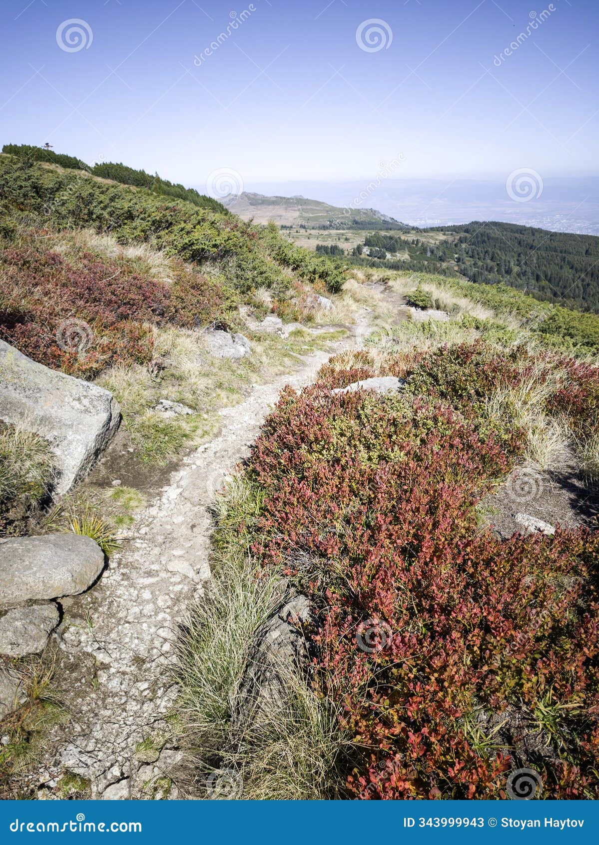 landscape of vitosha mountain, bulgaria