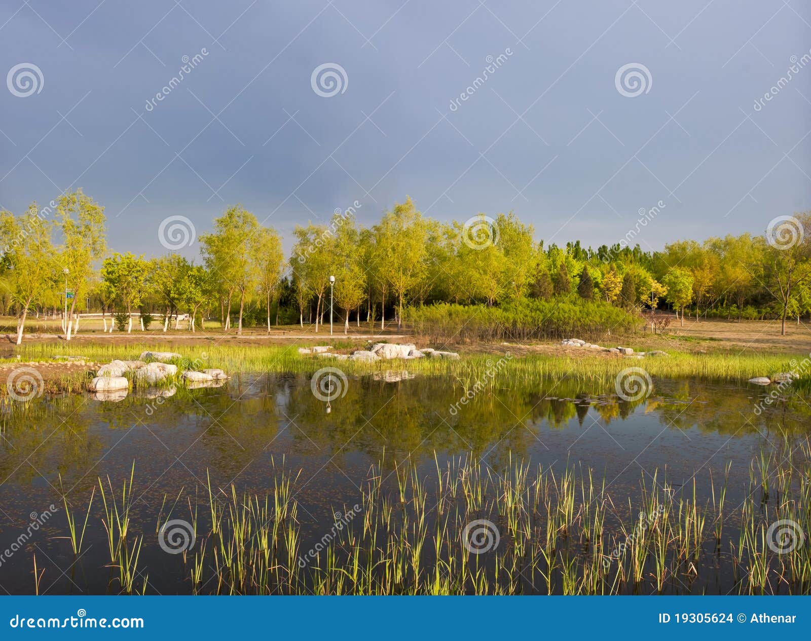 Landscape of Woods, Reeds and Ponds Stock Photo Image of beijing