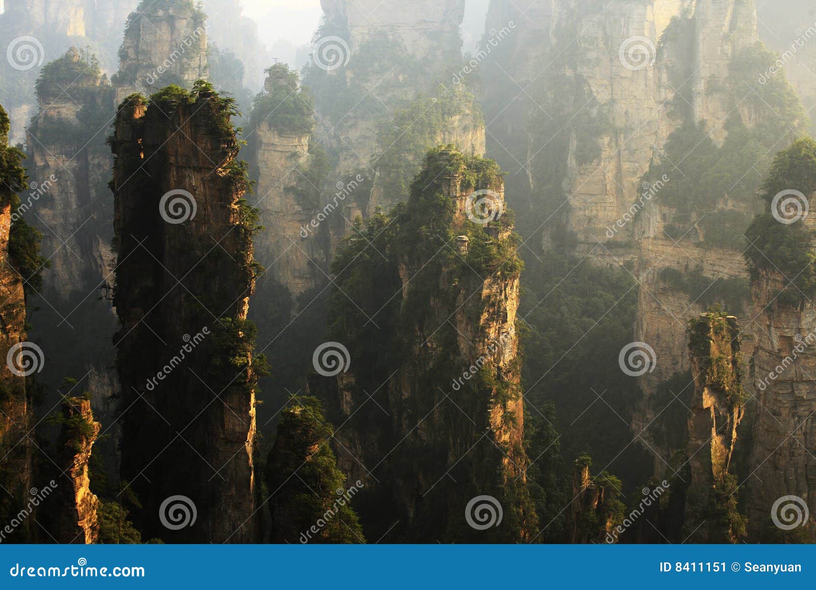 landscape of zhangjiajie national geologic park