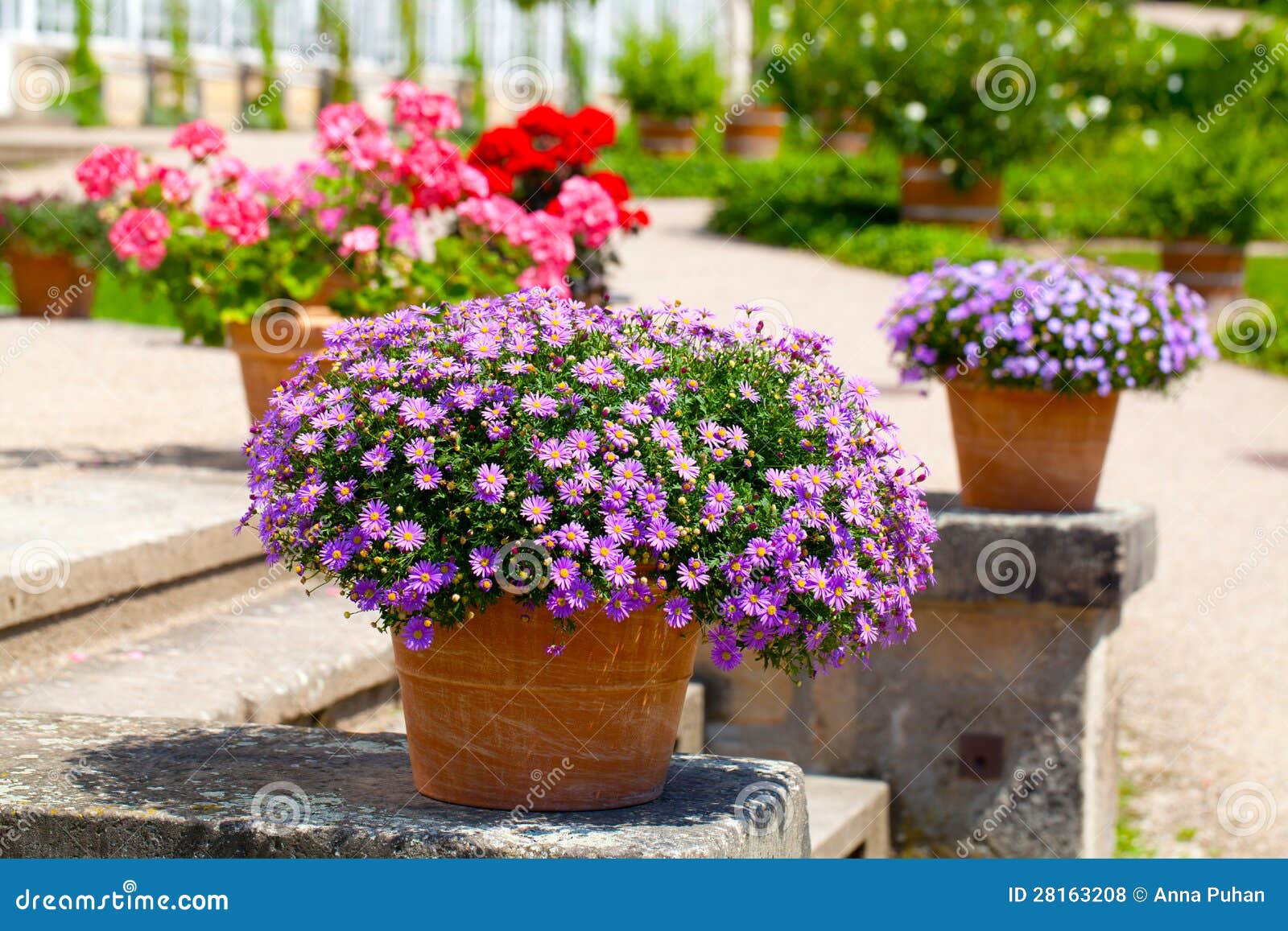 landscaped flower garden