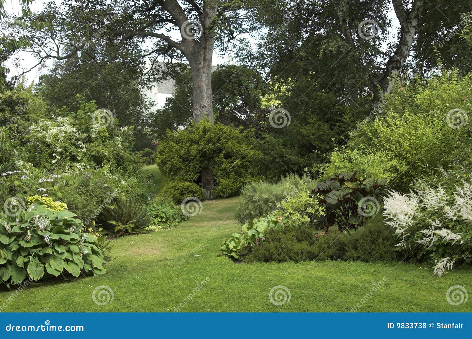 landscaped garden with trees shrubs
