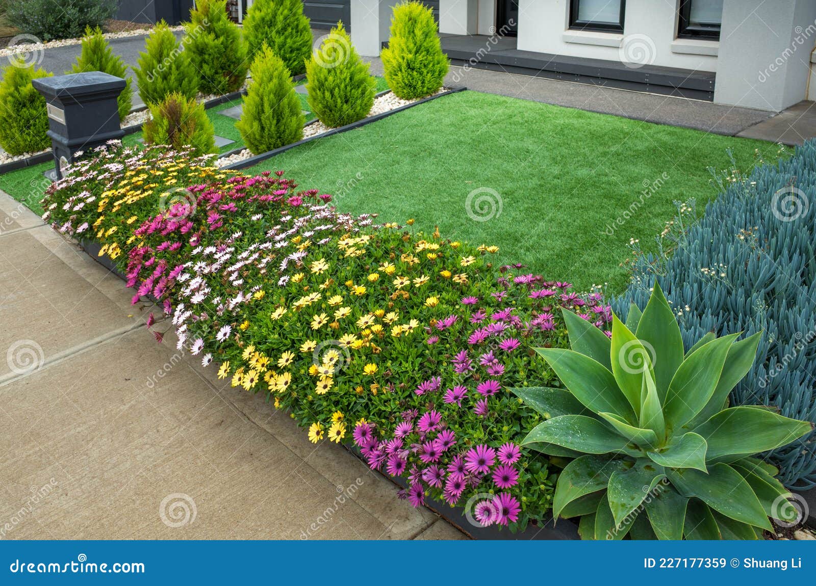 A Landscaped Small Front Yard With Different Plants And Synthetic Turf Stock Image Image Of Design Driveway  - Small Front Yard Landscaping Ideas Australia