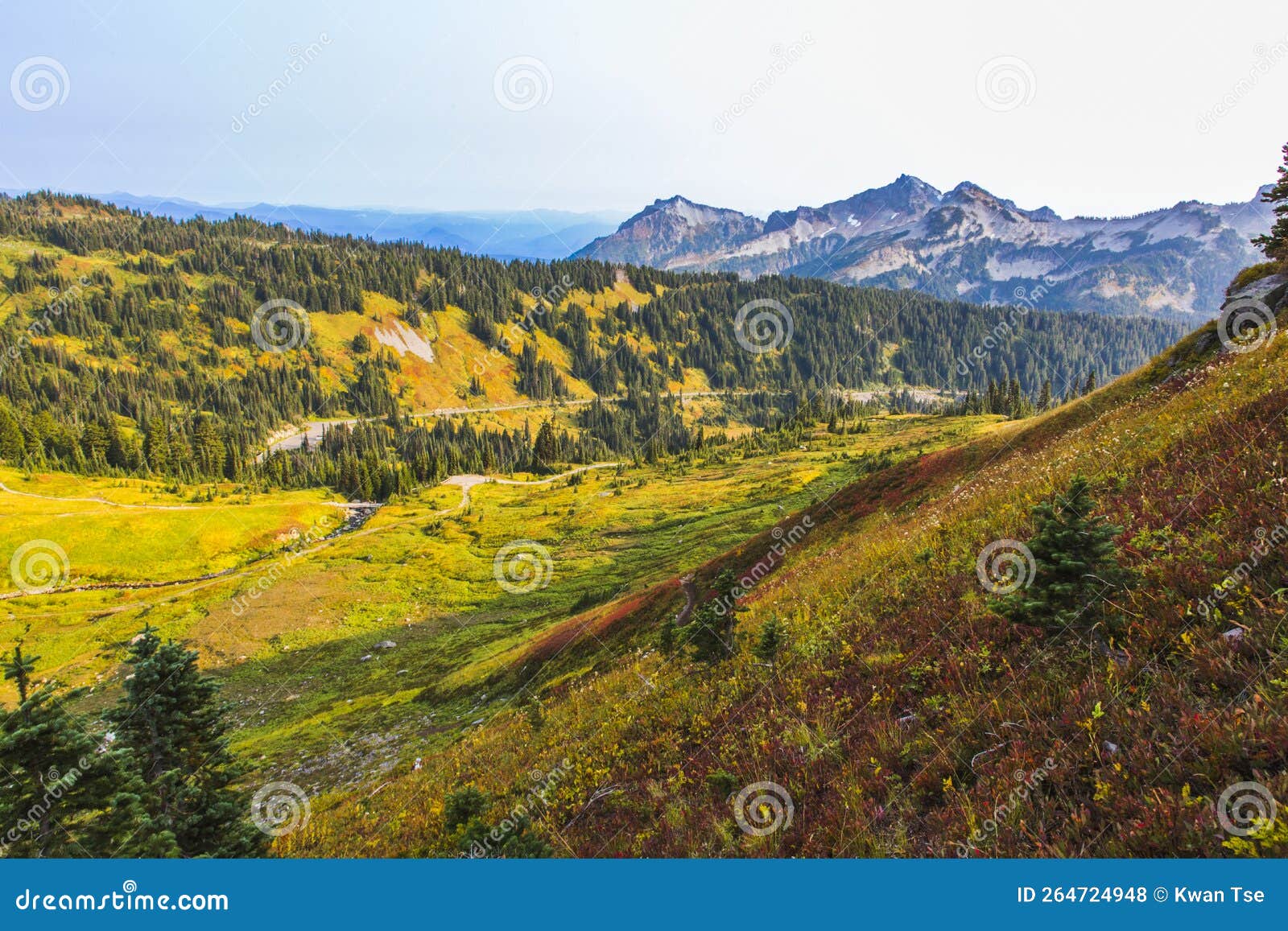 Landscapes of Mt Rainier in Autumn Stock Photo Image of national