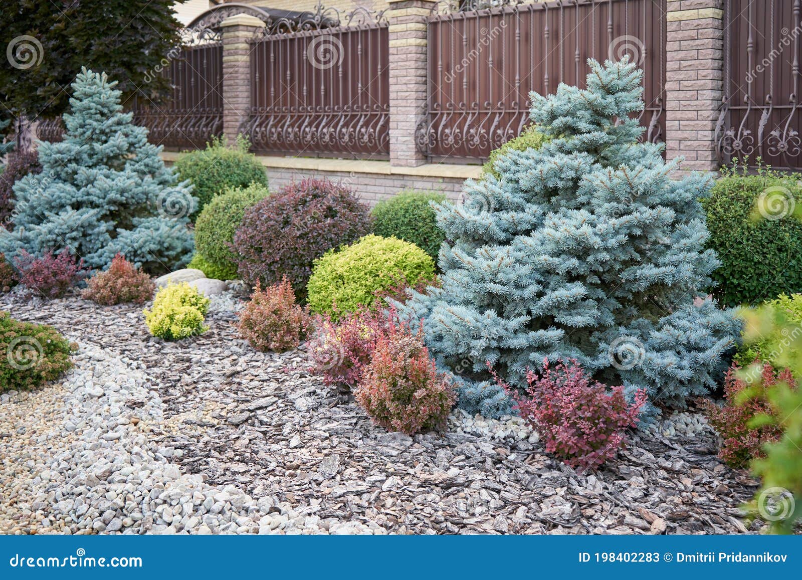 Landscaping from Different Bushes in the Home Garden Stock Image