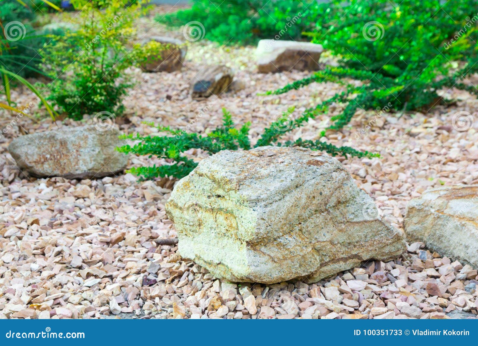 Landscaping. a Large Stone in the Background of the Plants Stock Image