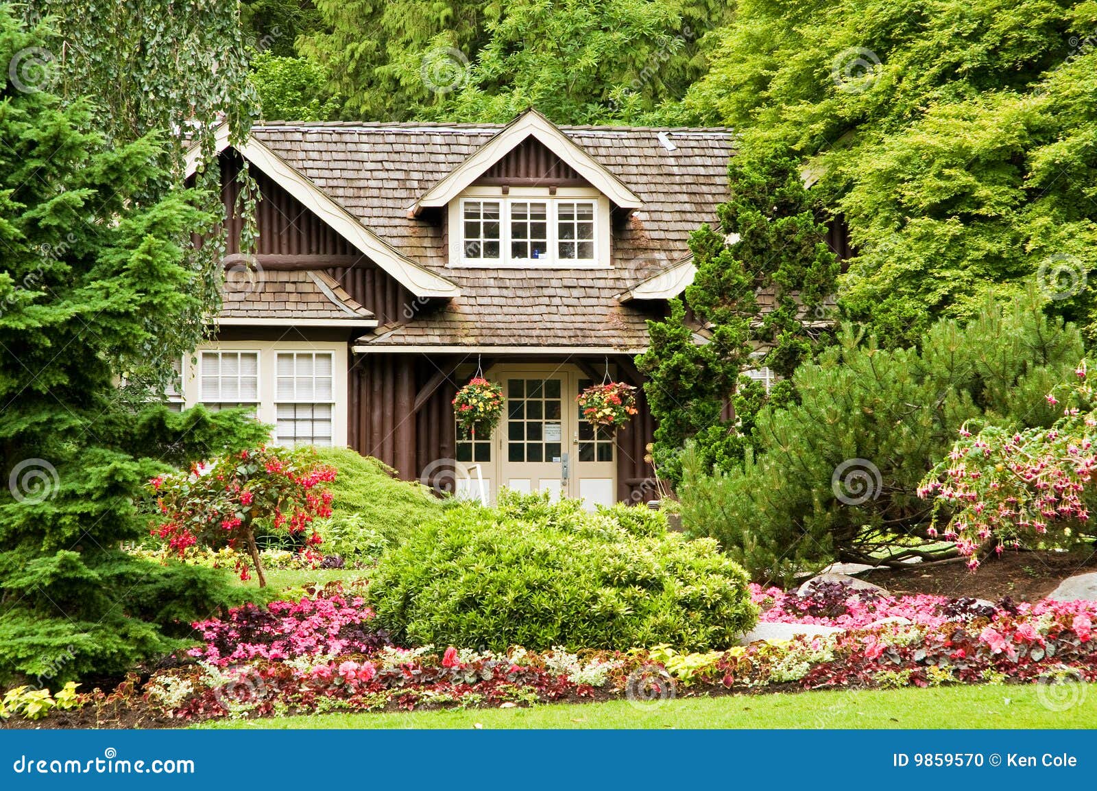 Cabin Landscaping