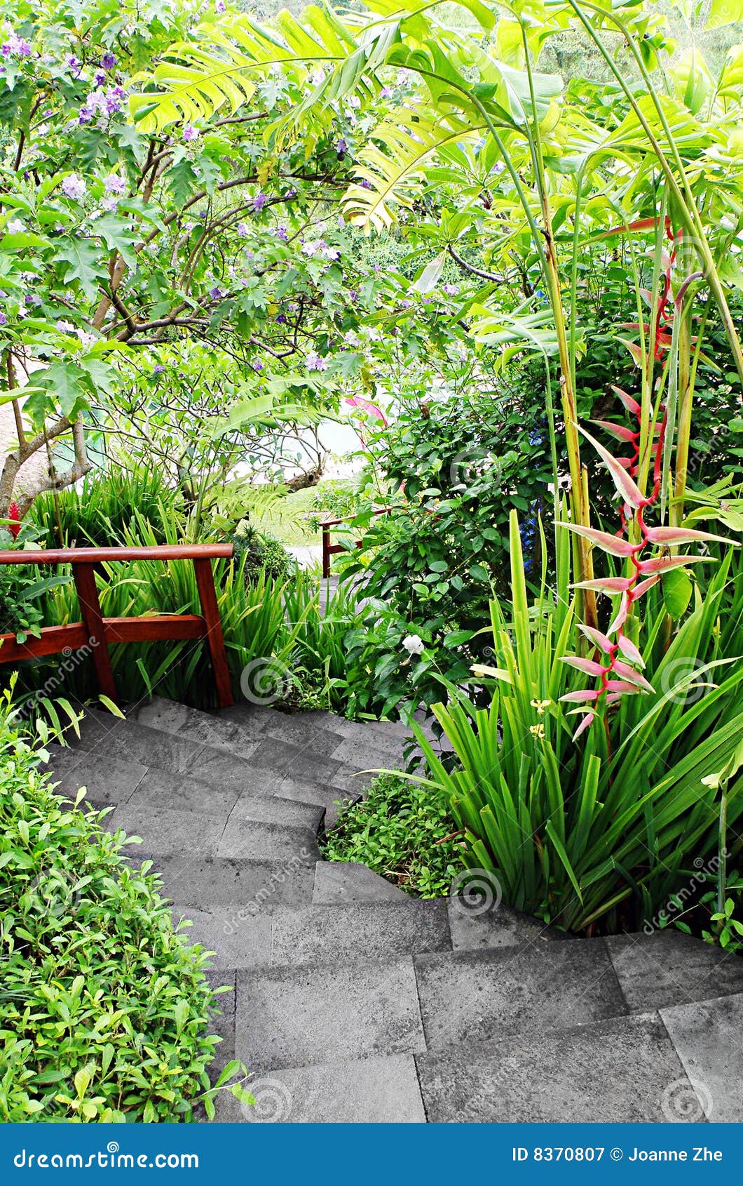 Landscaping Of Tropical Gardens Royalty Free Stock ...