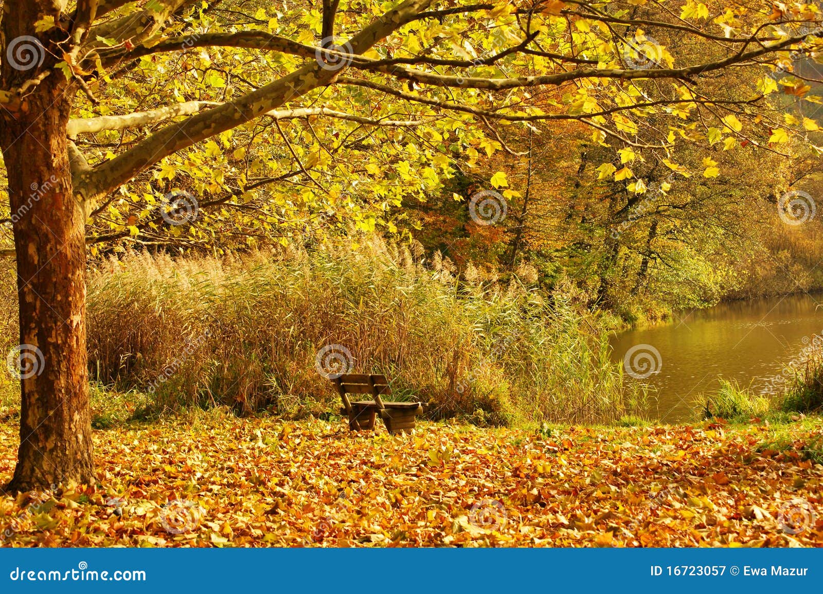 Bank Landscape Yuan Ma Moon Viewing Painting