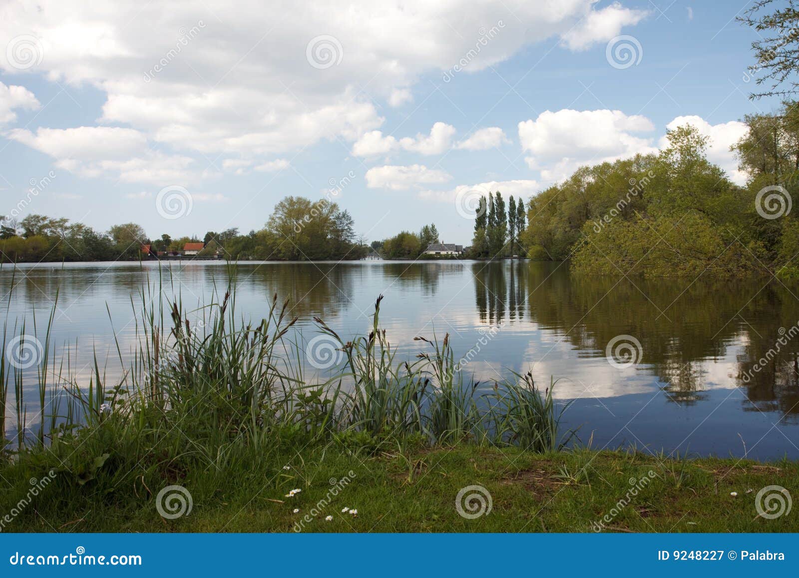 Landschaft mit Teich stockbild. Bild von park, landschaft 9248227