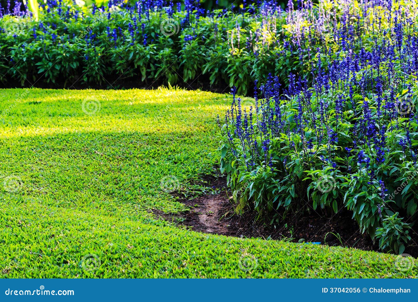 Landschaftsgestaltung Im Garten Stockfoto - Bild von garten