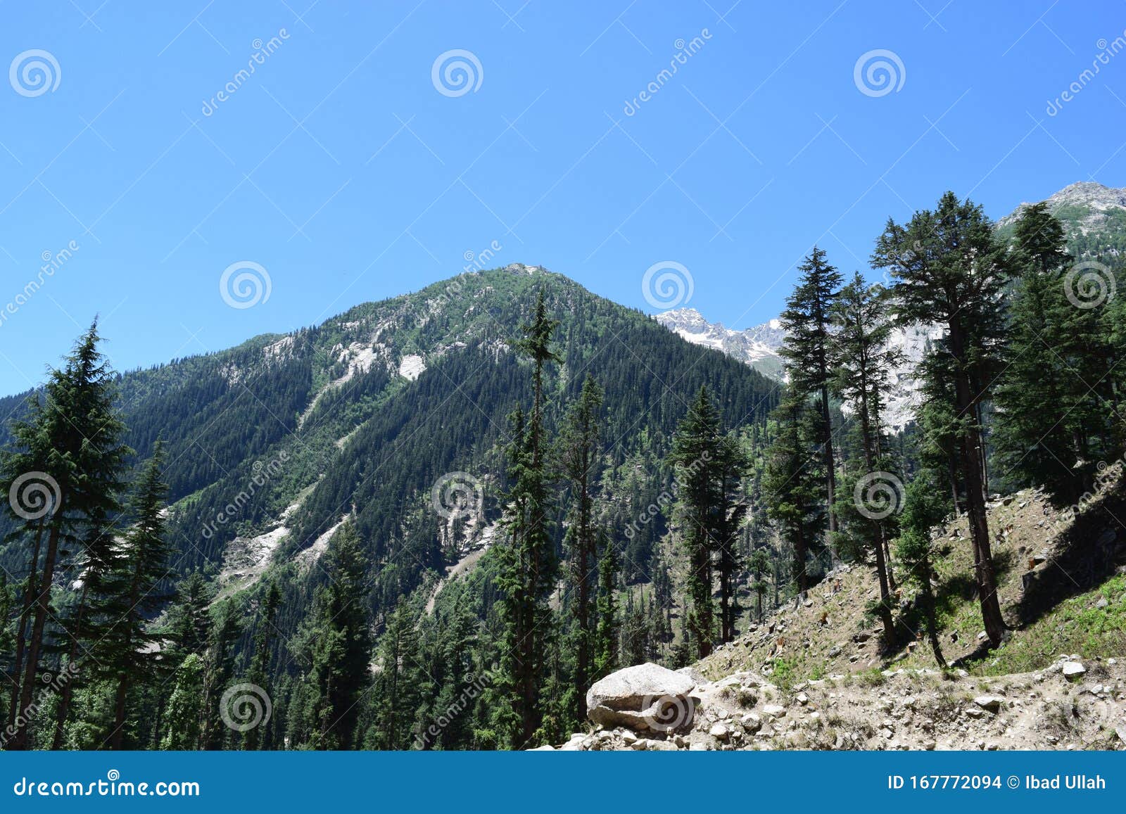 landscpe view of trees and hills of himalayan mountain series in northren kp, pakistan