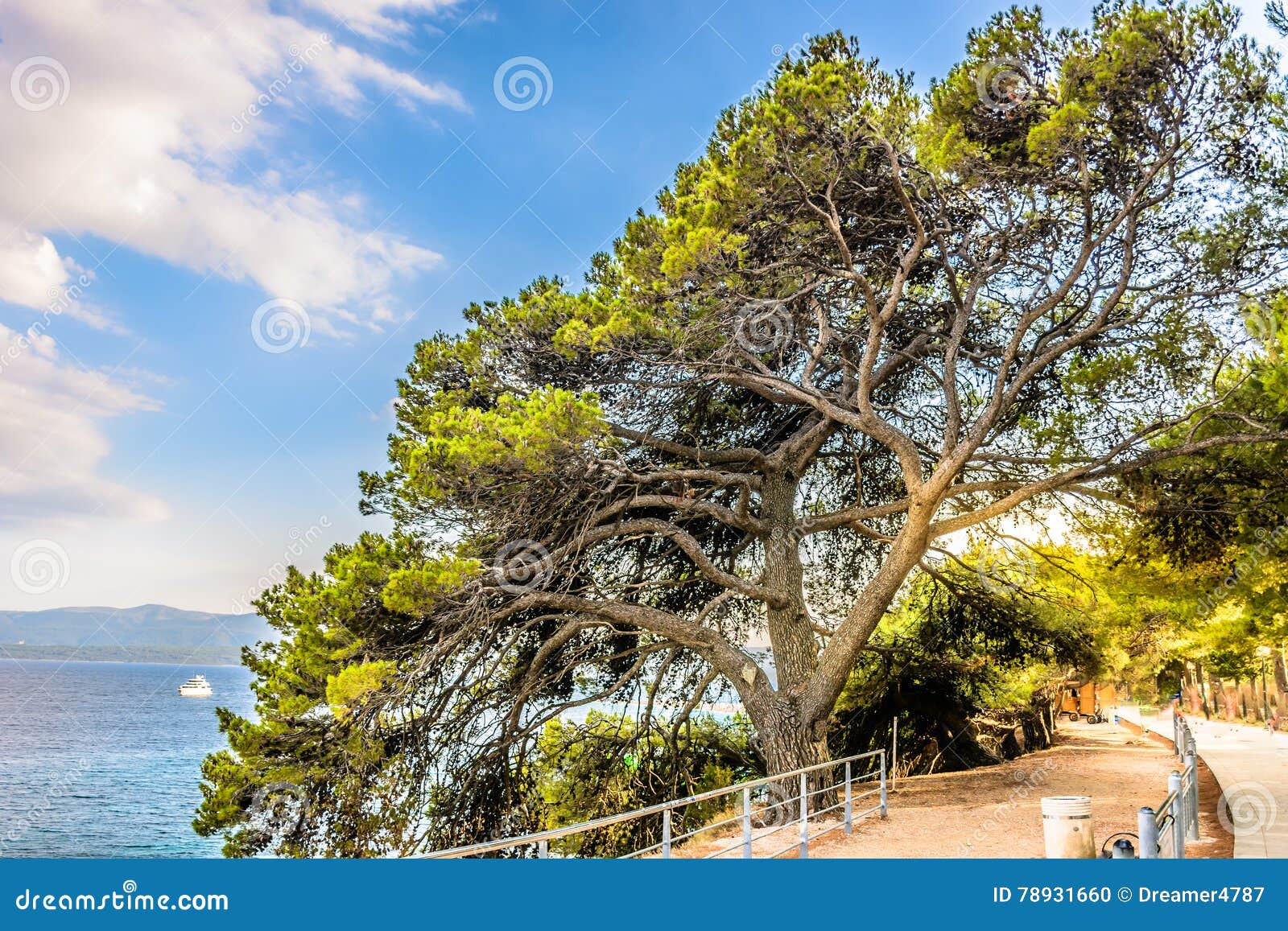 Landskap I Kroatien, Europa Arkivfoto - Bild av kust ...
