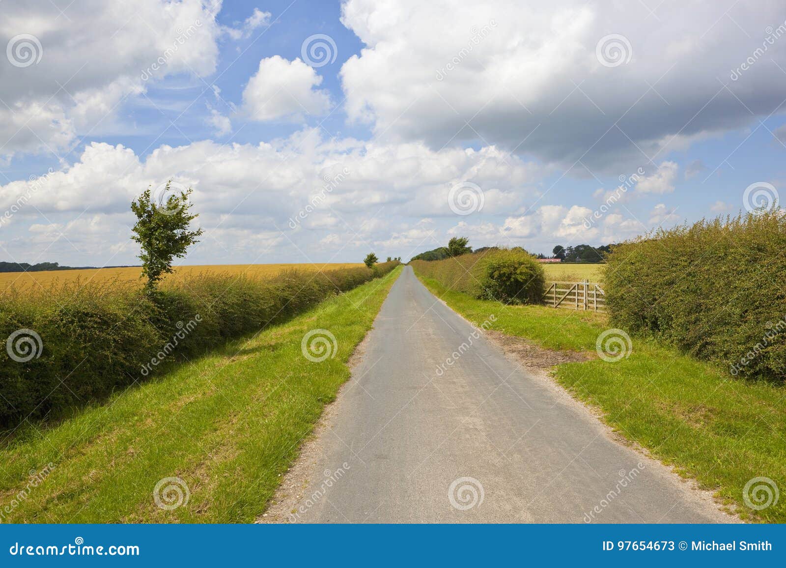 Landstrassen Und Weissdornhecke Stockbild Bild Von Weissdornhecke Landstrassen 97654673