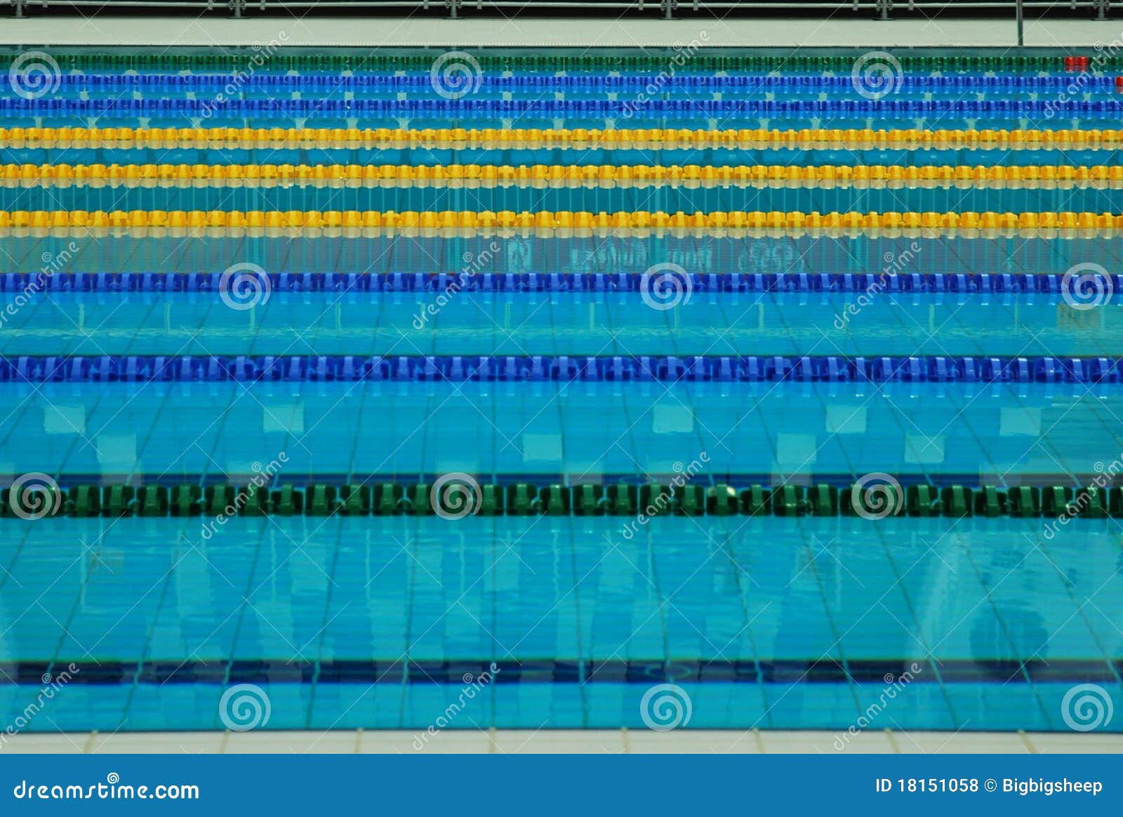 Lane Lines of a Swimming Pool Stock Photo Image of olympic, water