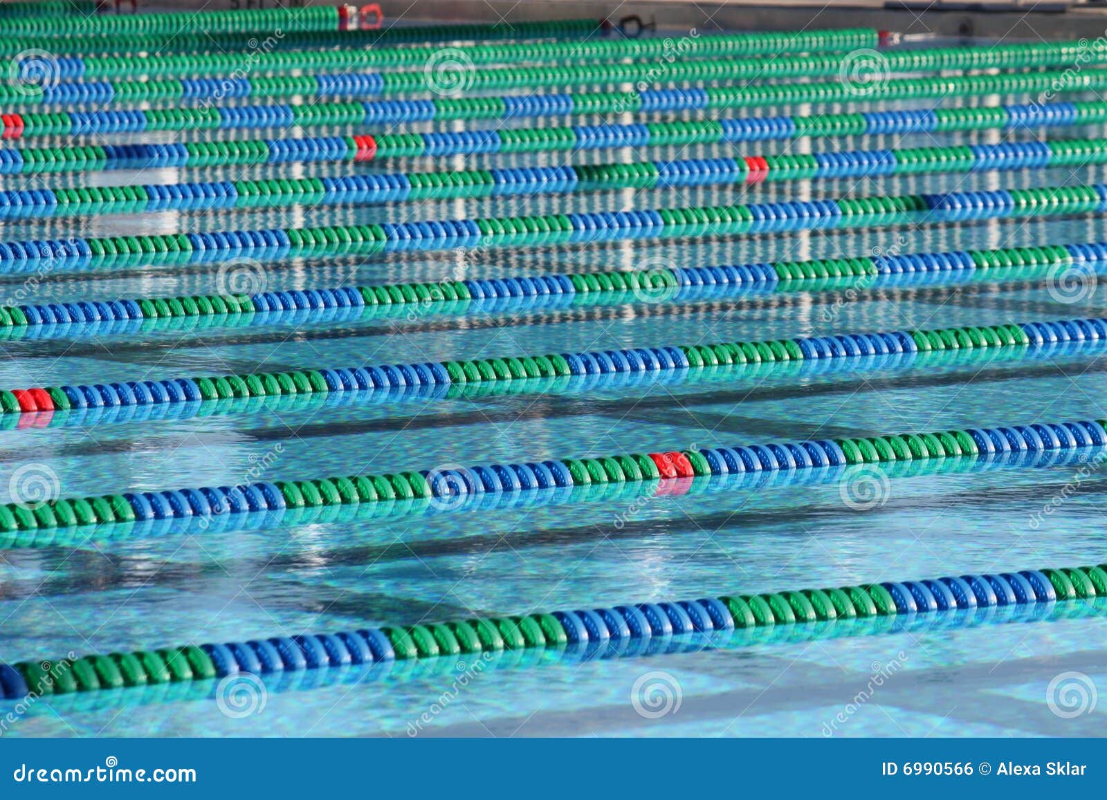 Lane Ropes In A Pool Royalty Free Stock Image Image 6990566