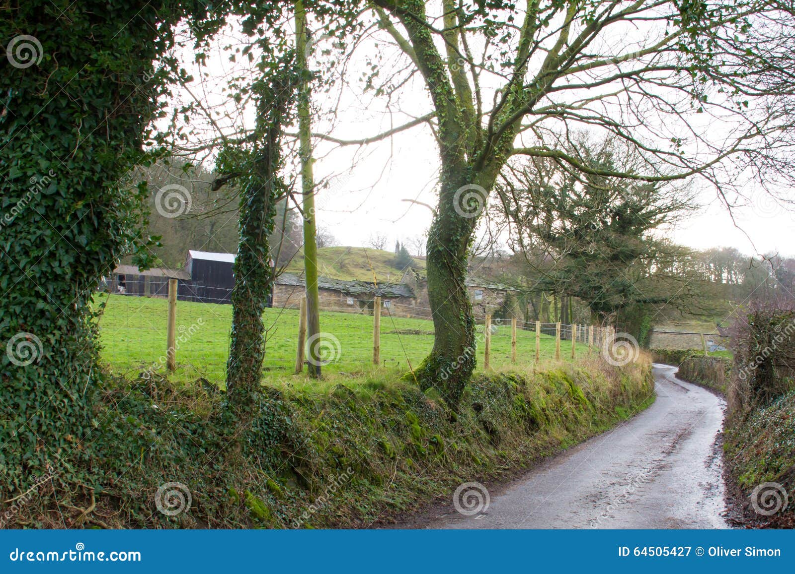A lane to a farm stock image. Image of stone, road, winding 64505427