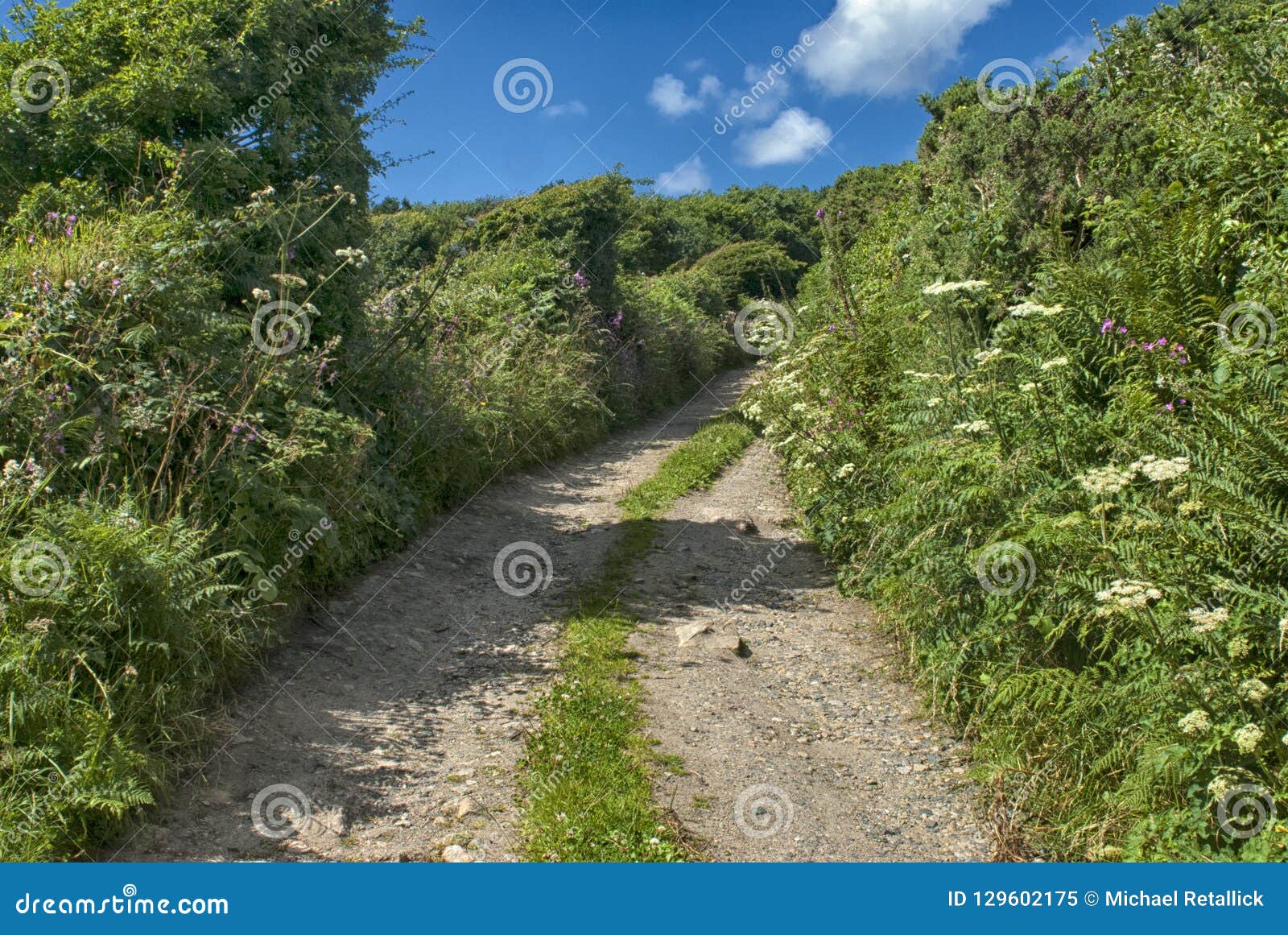 laneway to carn euny, cornwall