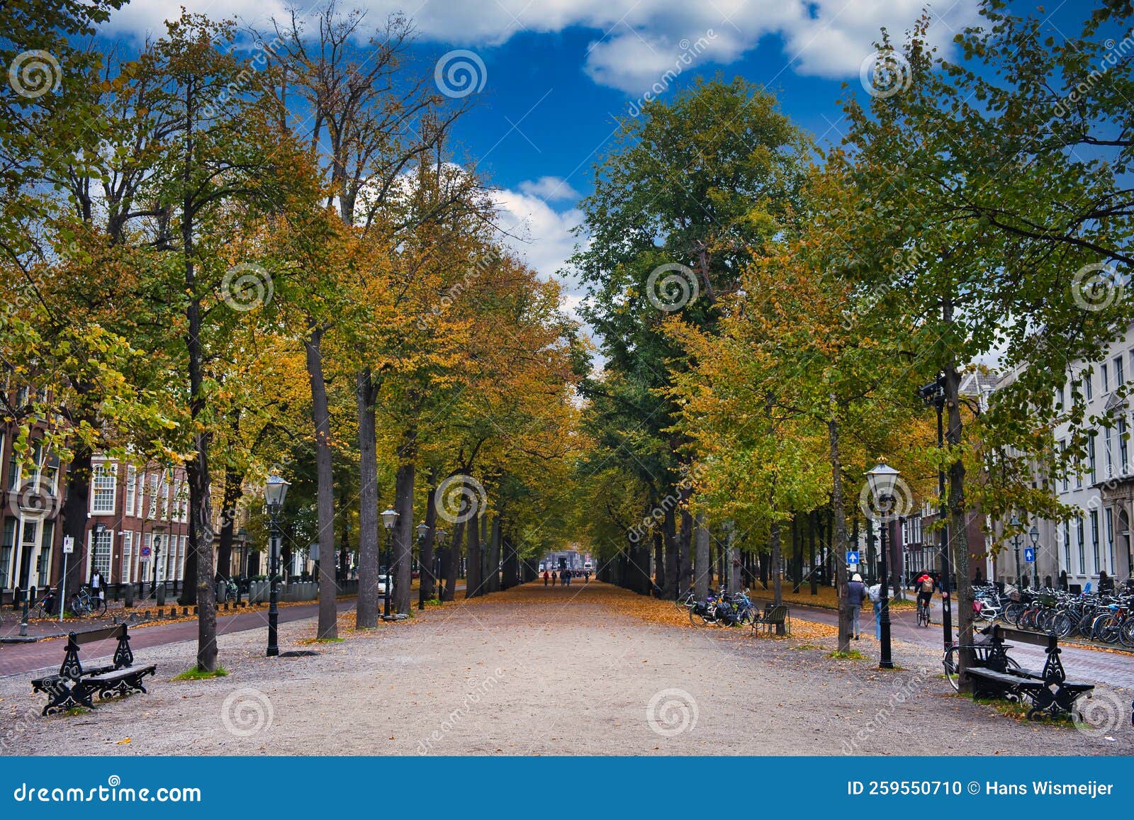 Lange voorhout hague hi-res stock photography and images - Page 5