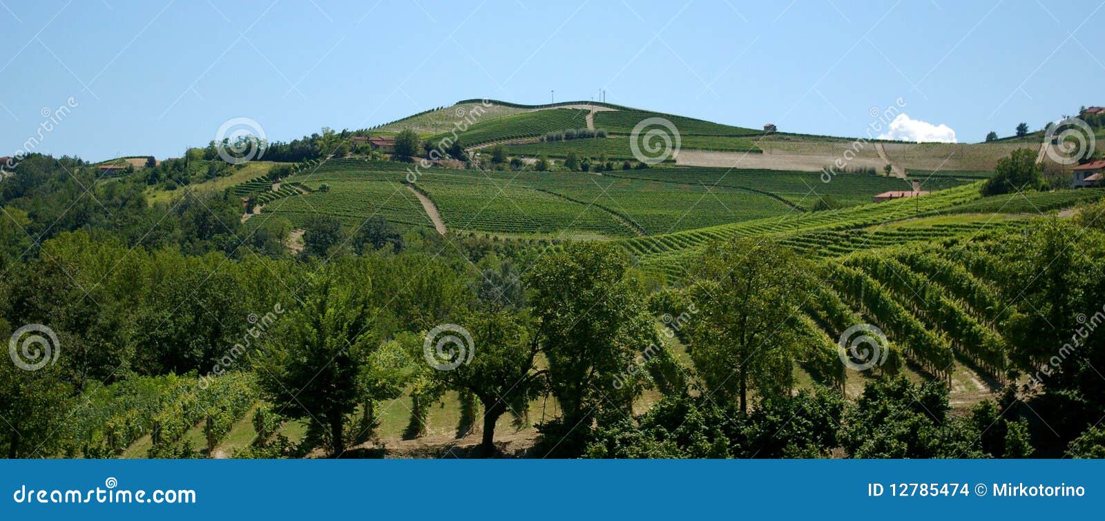 langhe hills - colline in langa