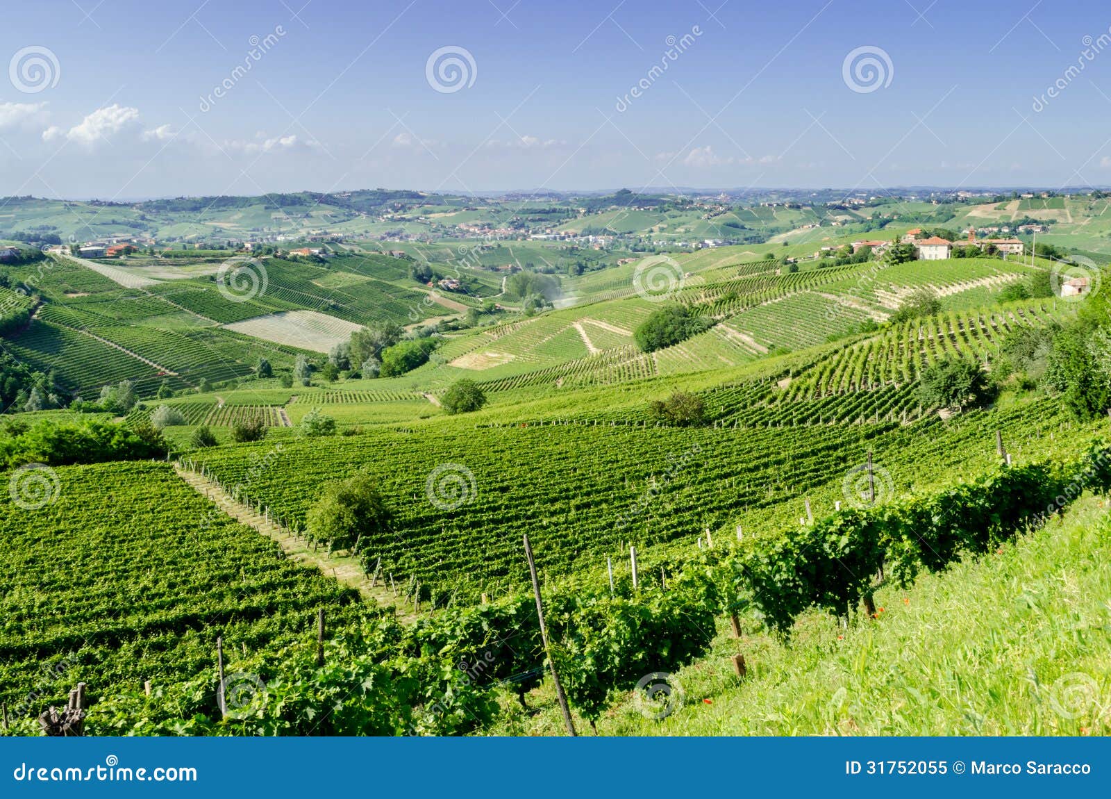 langhe, hilly wine region in piedmont, italy