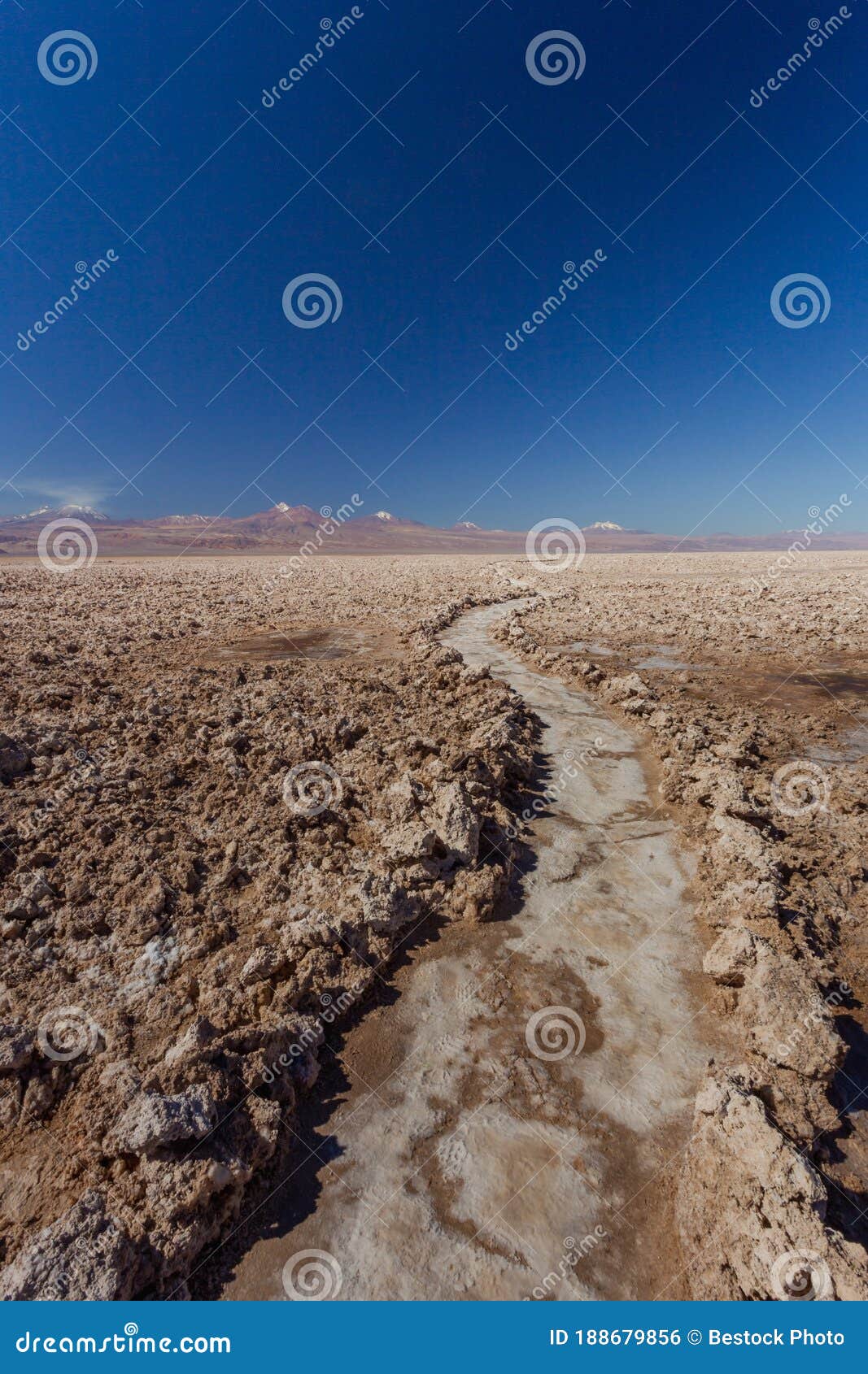 lanscape of long courved path made of salt stones at chaxa lagoon at flamingos national park, atacama