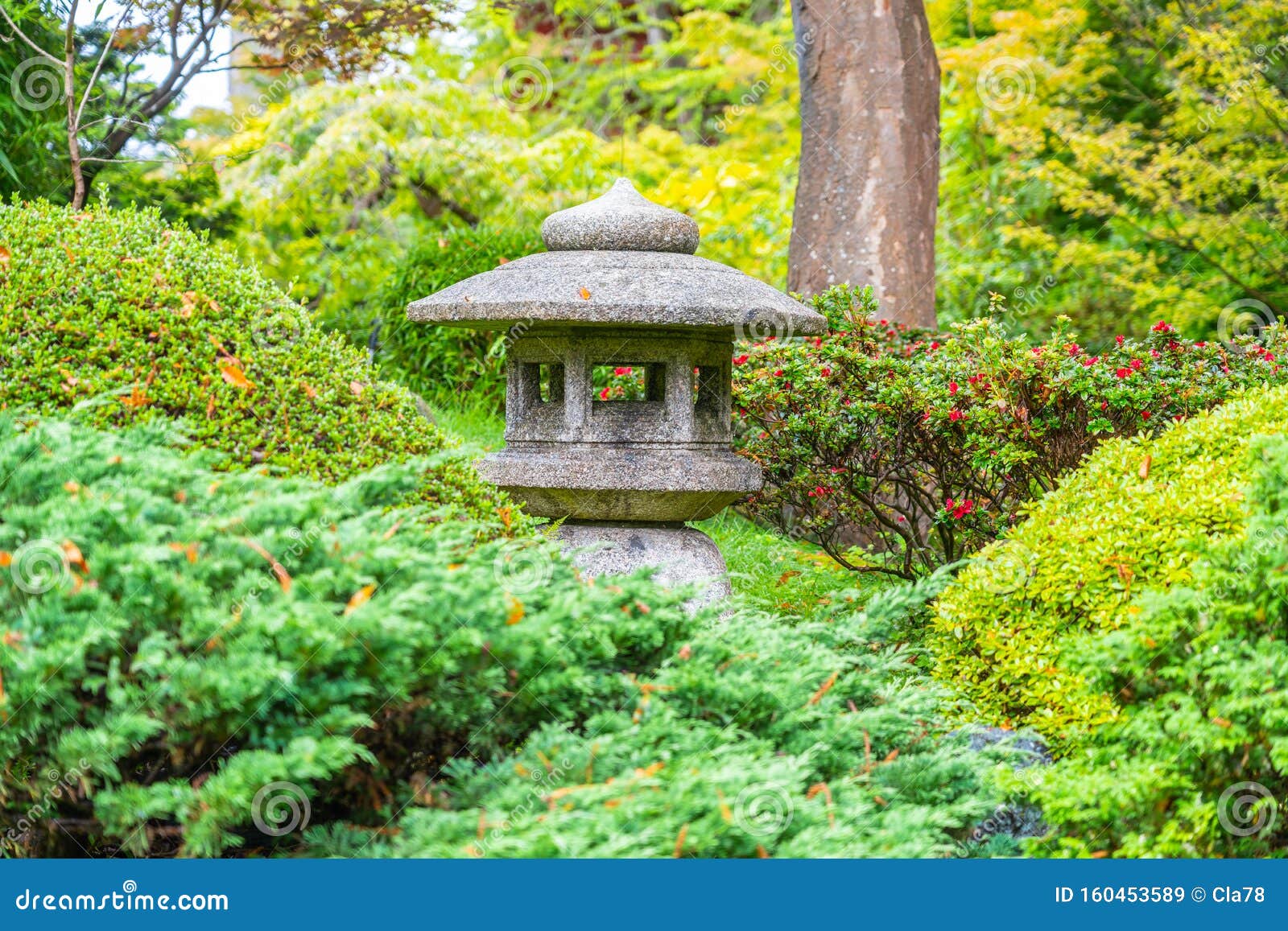 Lantern In Japanese Tea Garden In The Golden Gate Park San