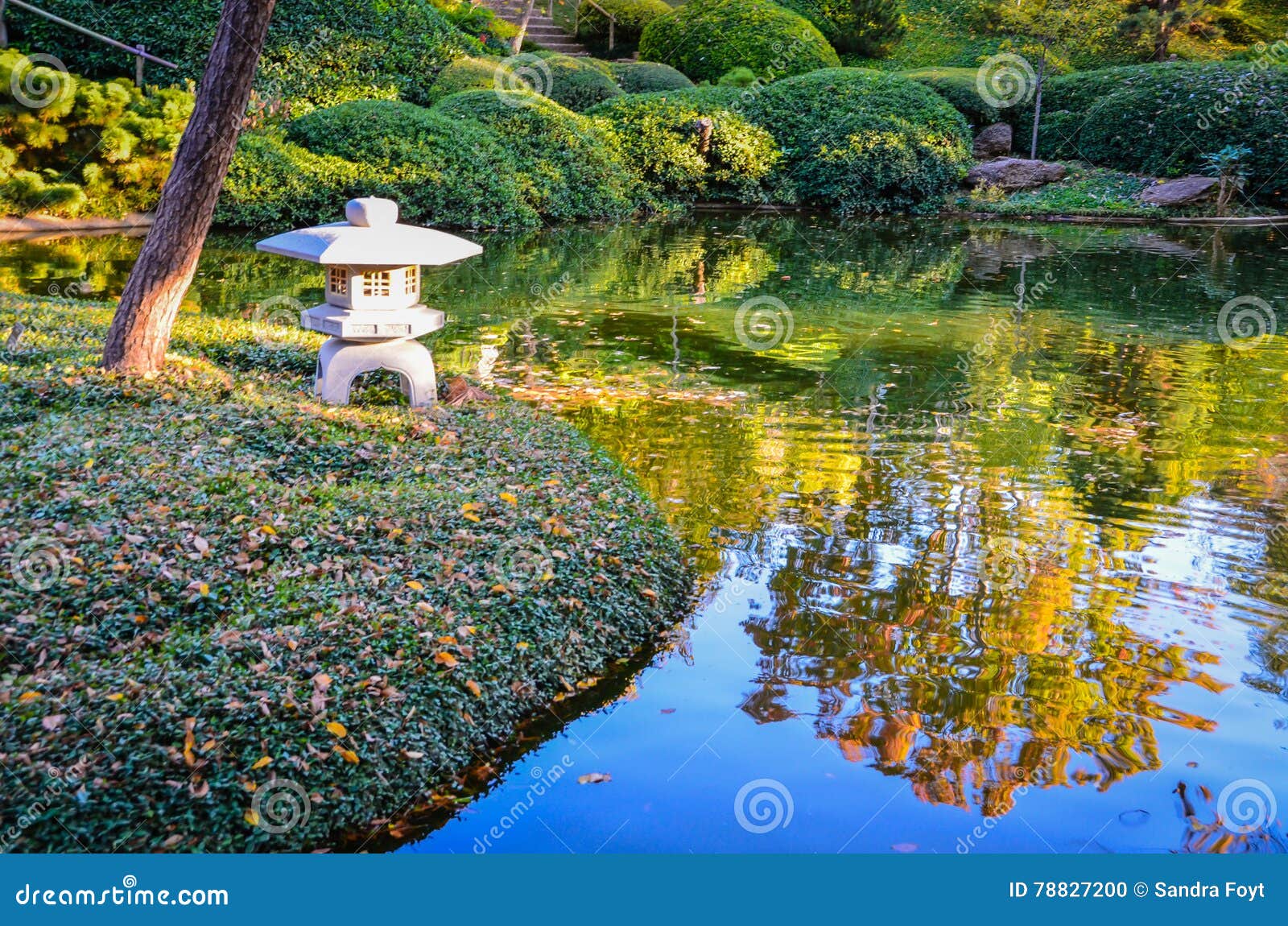 Lanterna Japonesa - Jardim De Outono - Fort Worth Foto de Stock - Imagem de  texas, espiritualidade: 78827200, image size:1600x1150