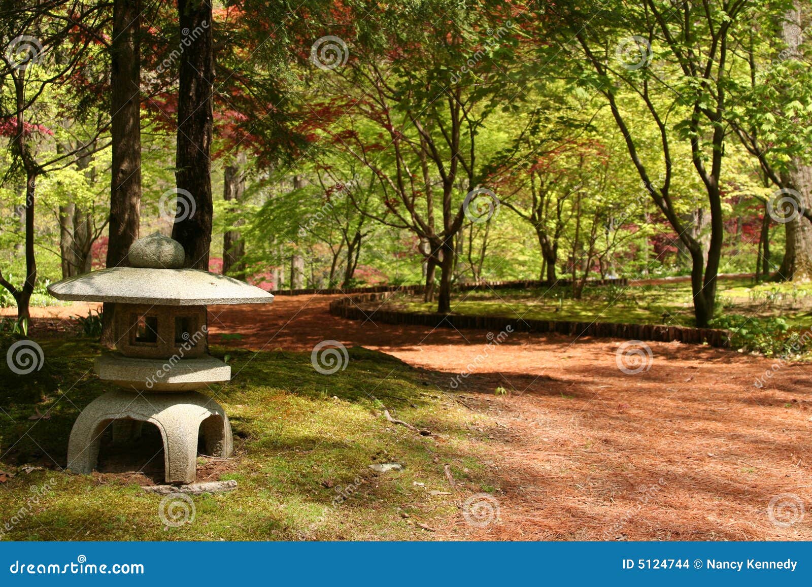 Lanterna Japonesa Do Jardim Foto de Stock Imagem de pinho, trajeto