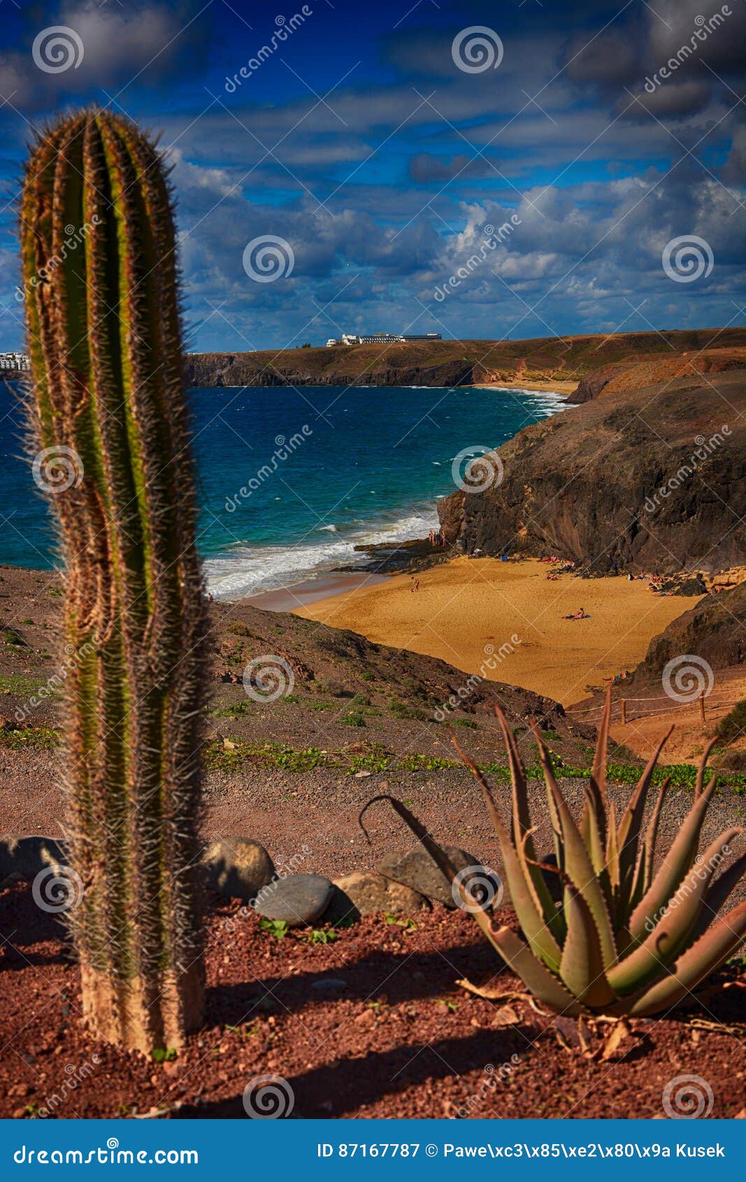 Lanzarote, Papagayo. Vista da praia e do cacto em Papagayo, Lanzarote