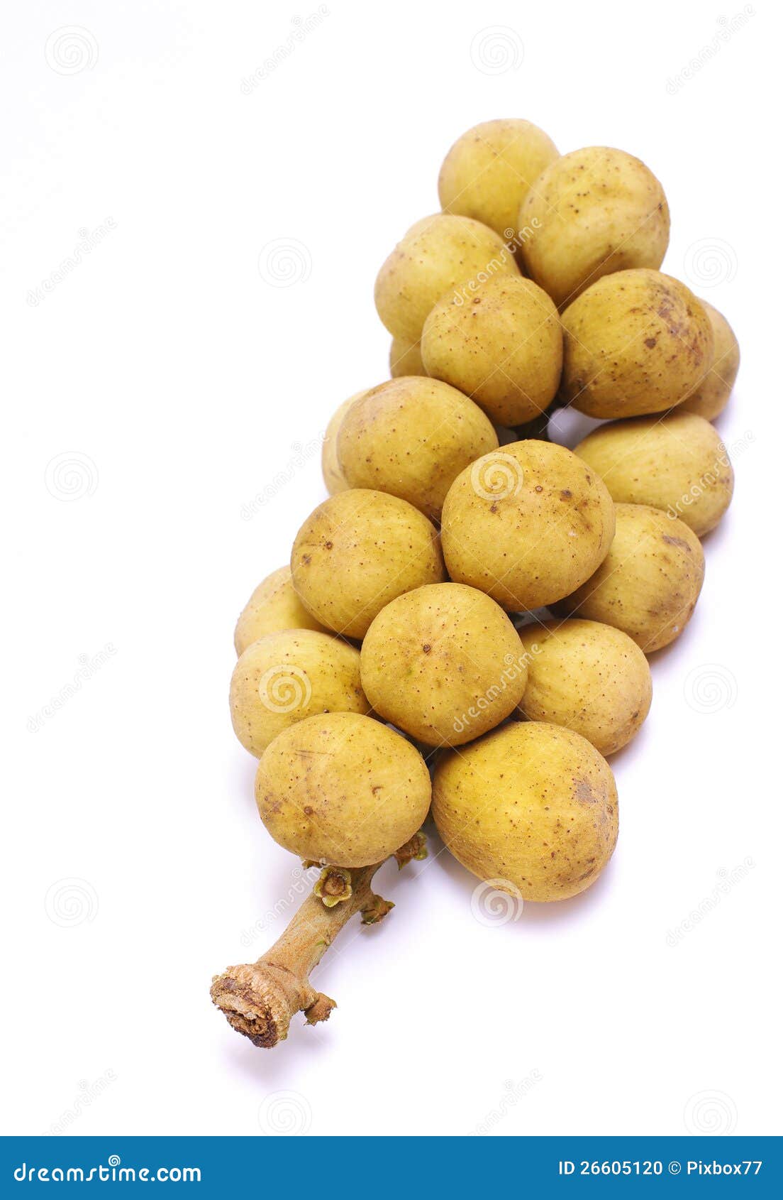 Lanzones fruit stock photo. Image of nutrition, asia 26605120