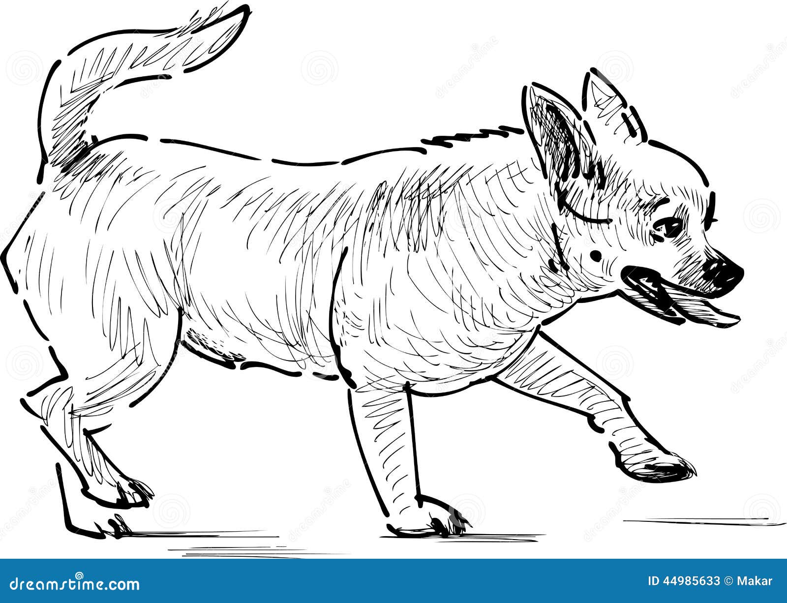 Lap Dog Walking Stock Vector Illustration Of Hand Drawing