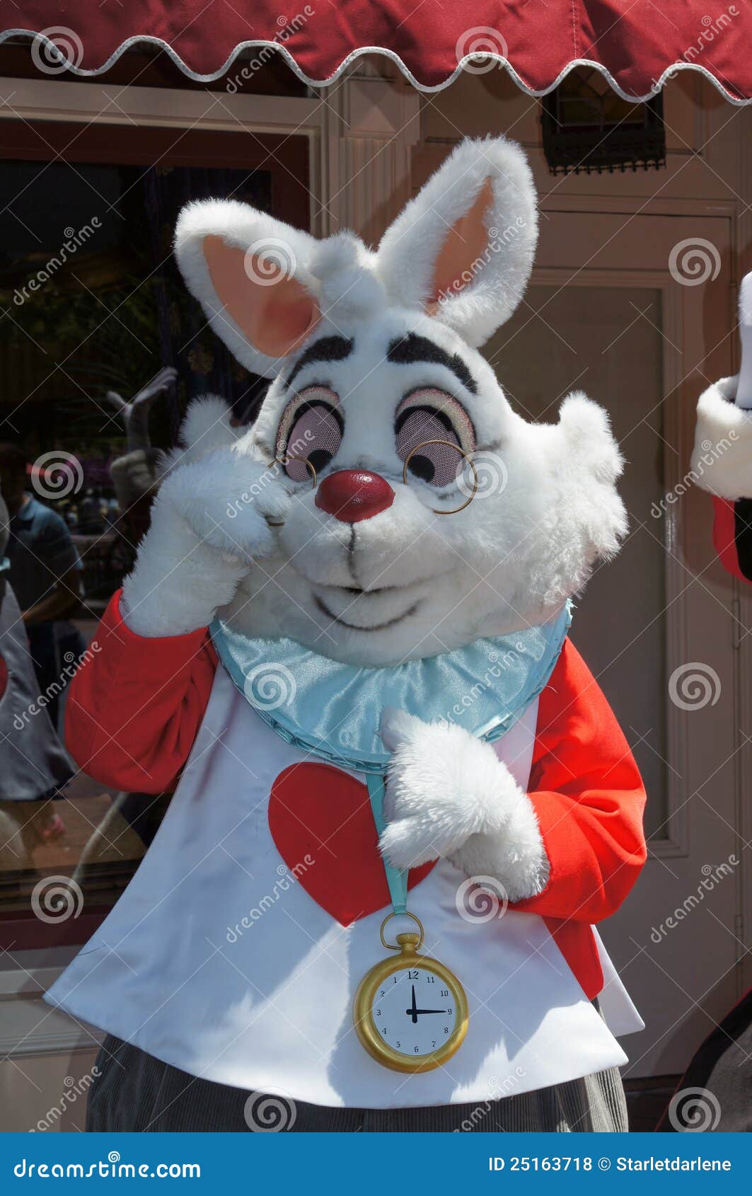 513 Photos de Lapin Blanc Alice - Photos de stock gratuites et libres de  droits de Dreamstime