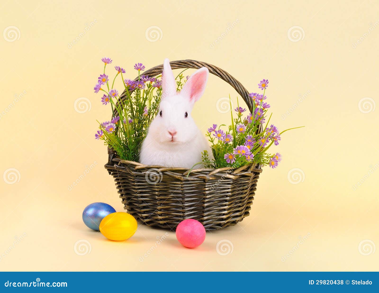 Lapin De Pâques Dans Un Panier Avec Des Fleurs Photo stock - Image