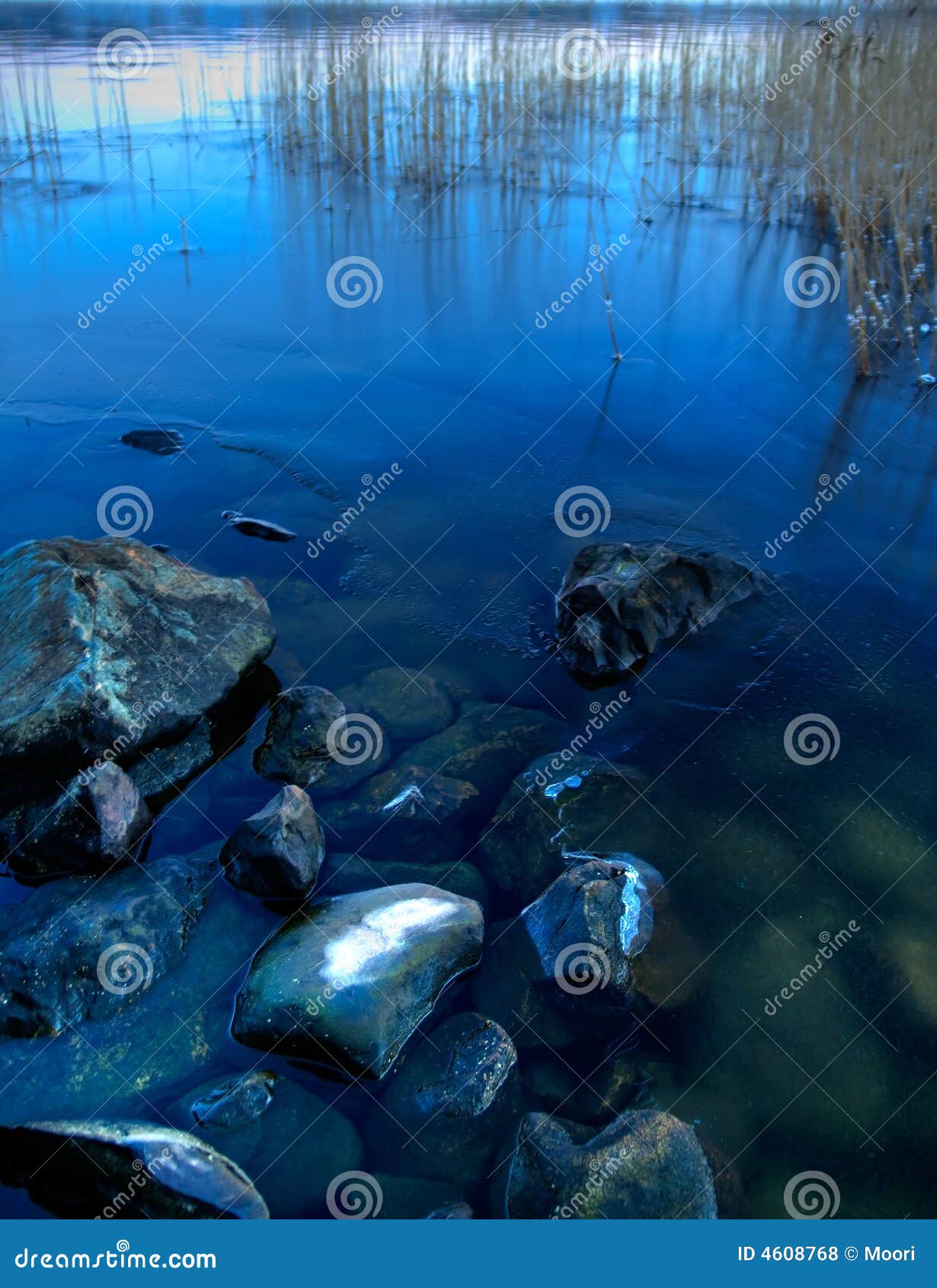 Lapland lake stock photo. Image of dawn, water, river 4608768