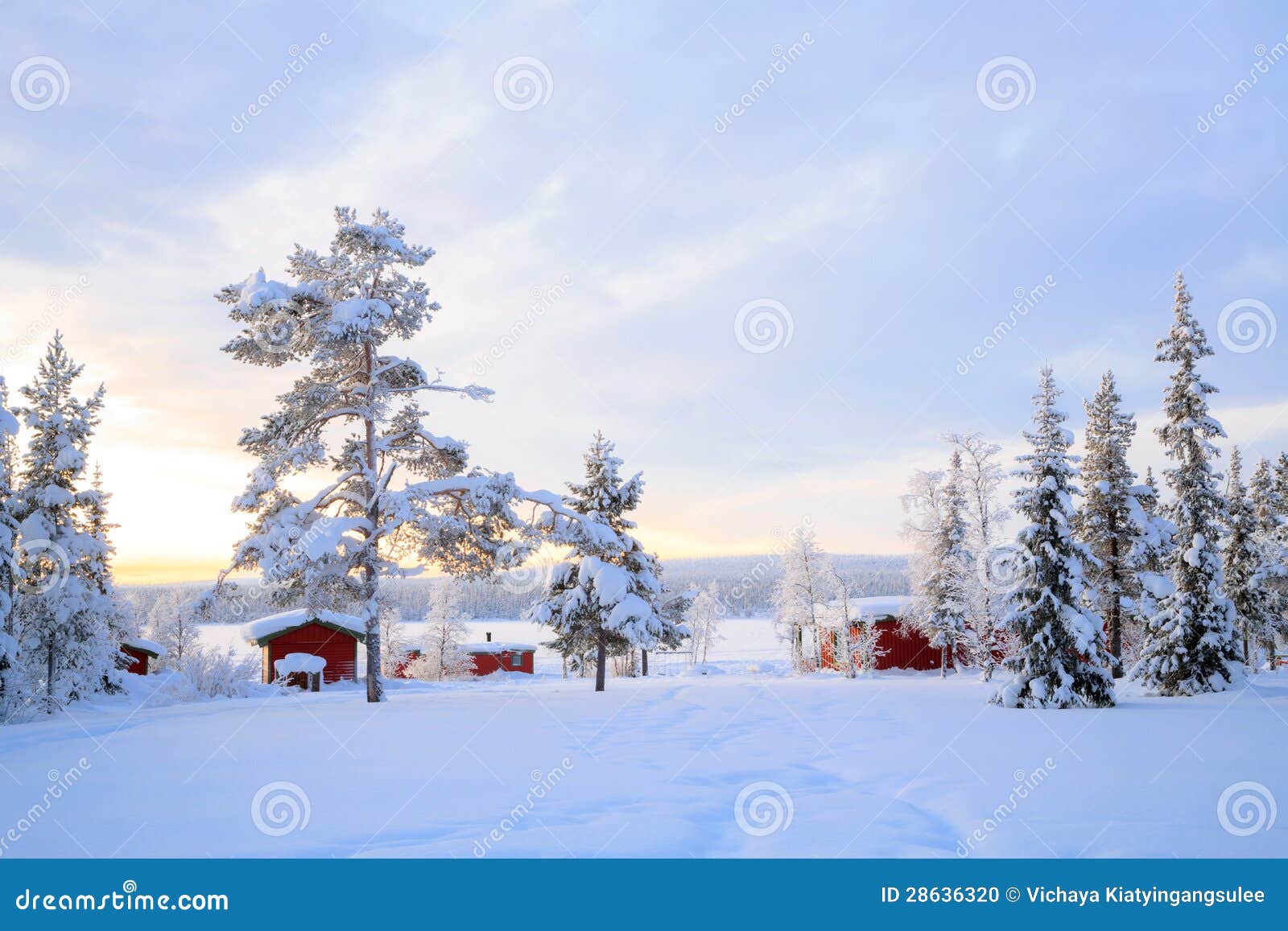 lapland winter landscape sweden