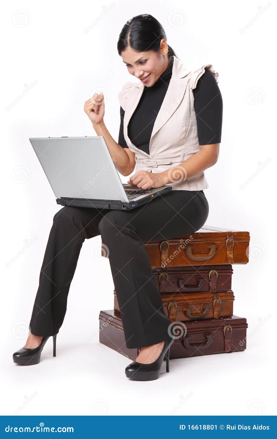 Laptop search stock image. Image of adult, briefcase - 16618801
