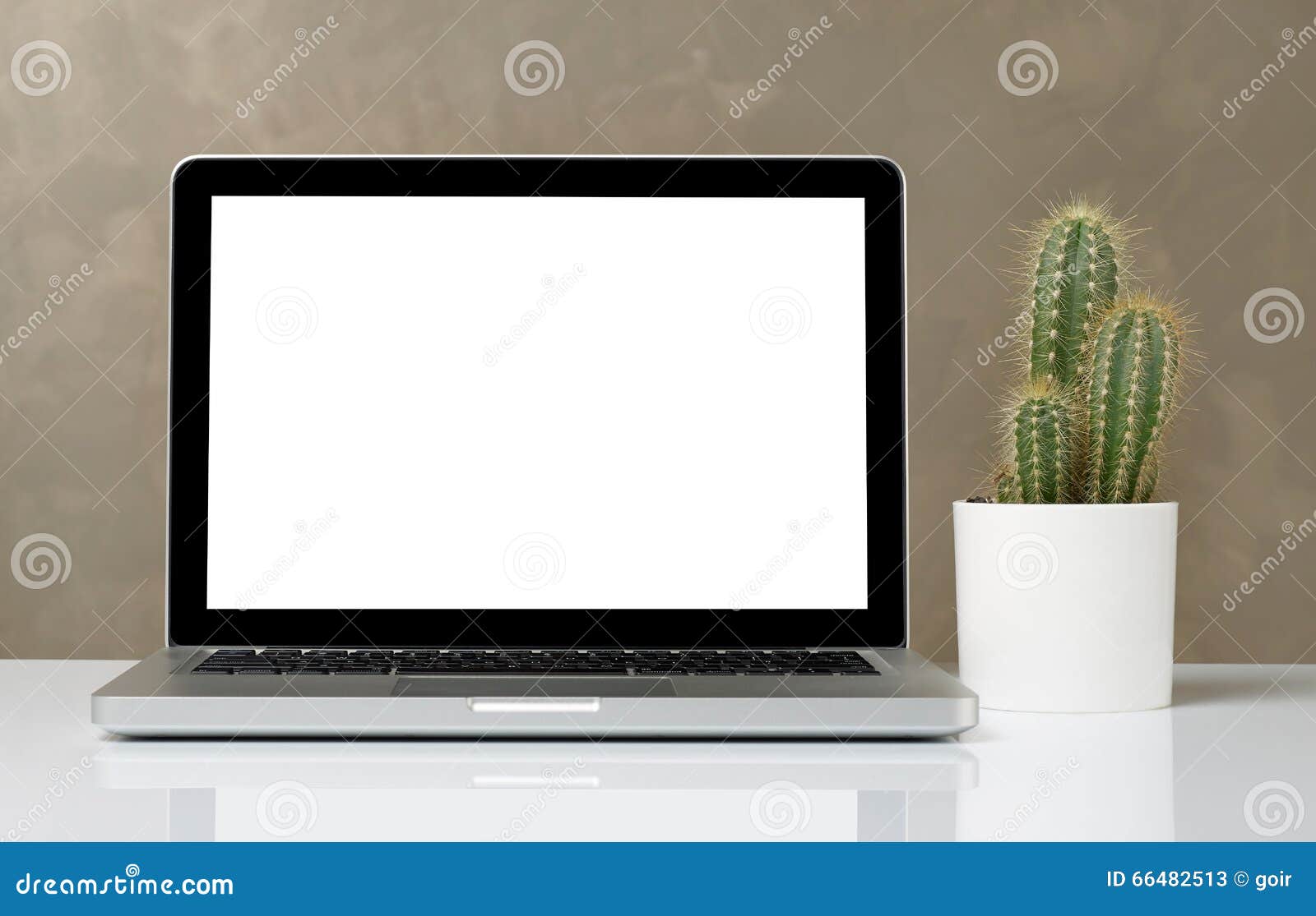 Laptop und Kaktus. Laptop mit leerem Bildschirm und Kaktus auf Schreibtisch