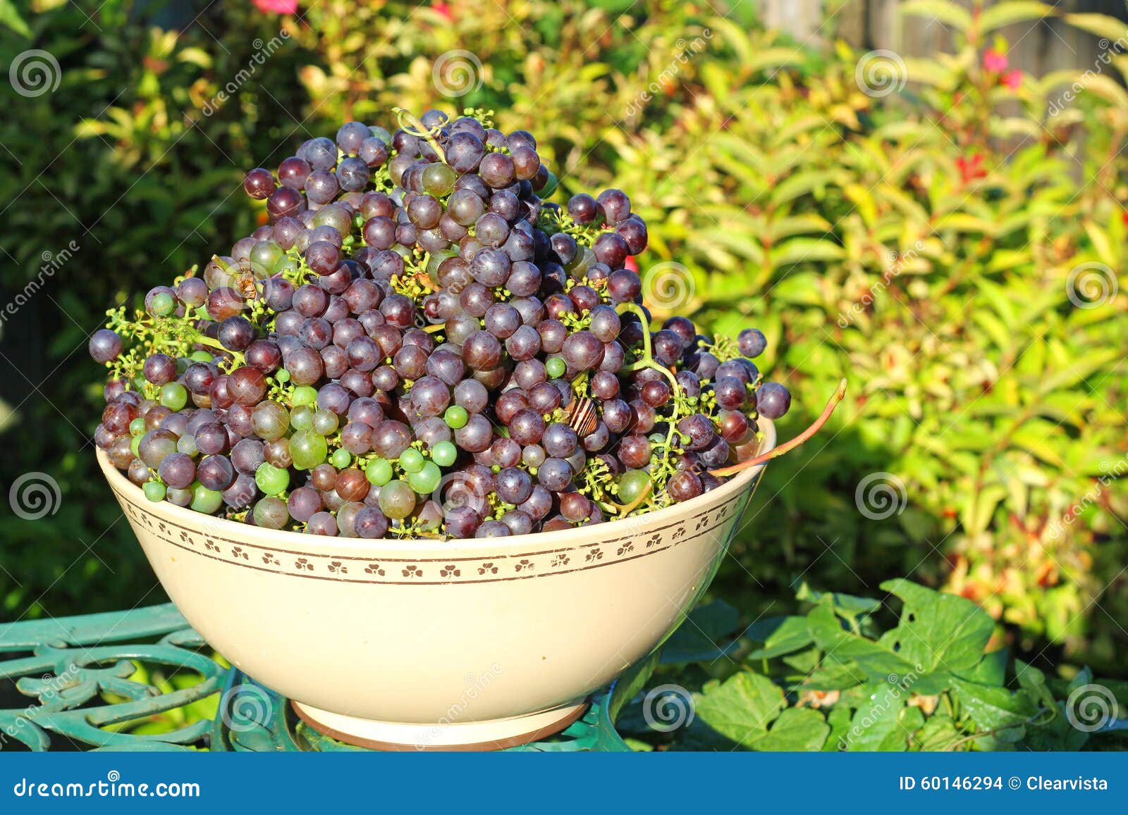 large amount of black grapes in a bowl.