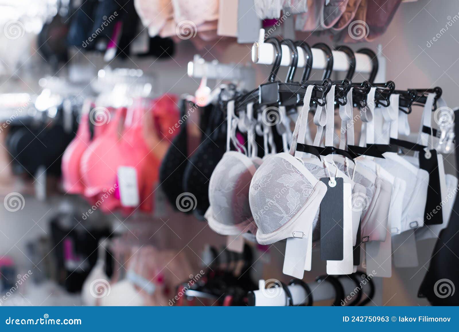 Assortment of Various Underwear for Women in Specialized Shop Stock