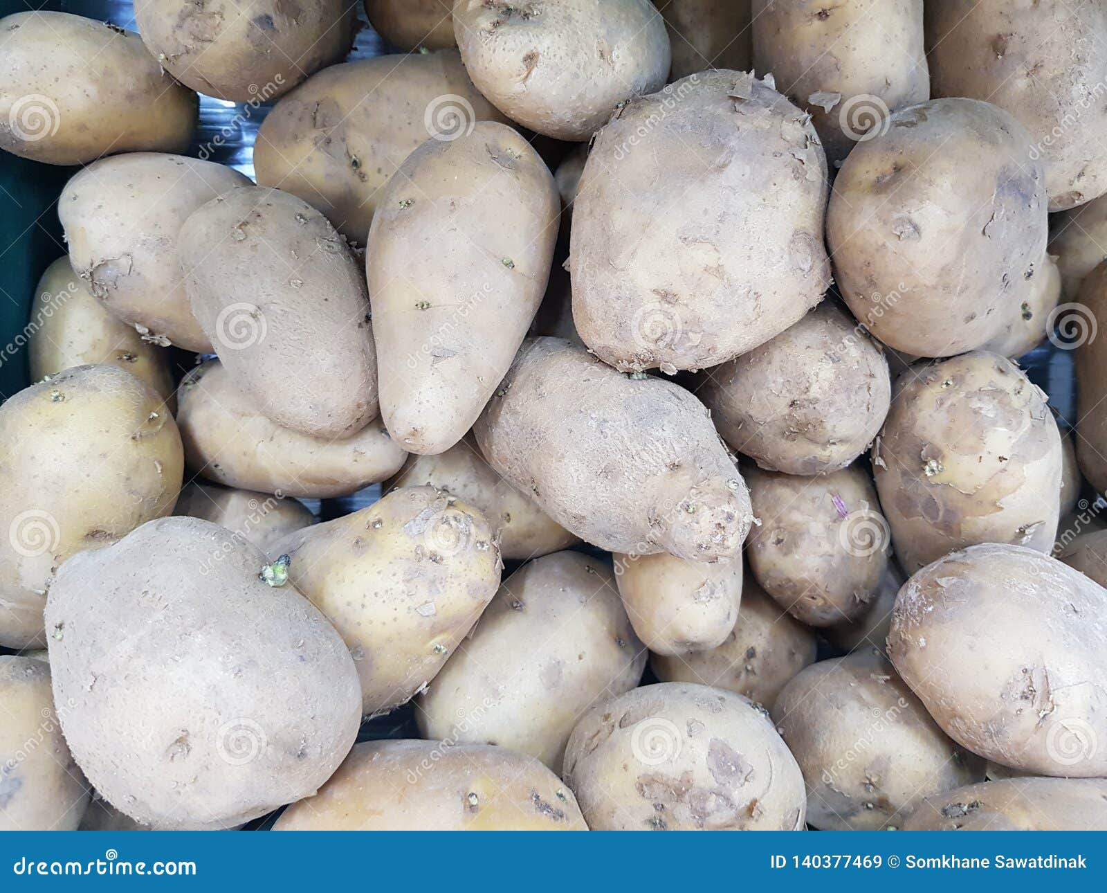 Large Background Potatoes in the Market. Heap of Potato Root. Closeup