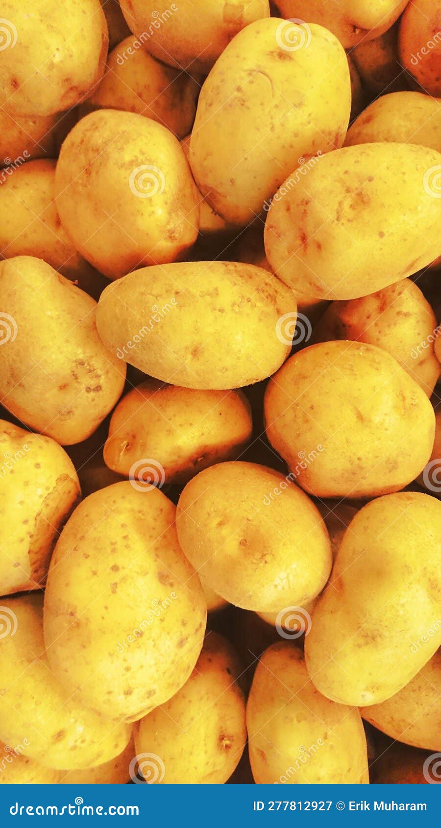 Large batch of potatoes stock image. Image of background 277812927