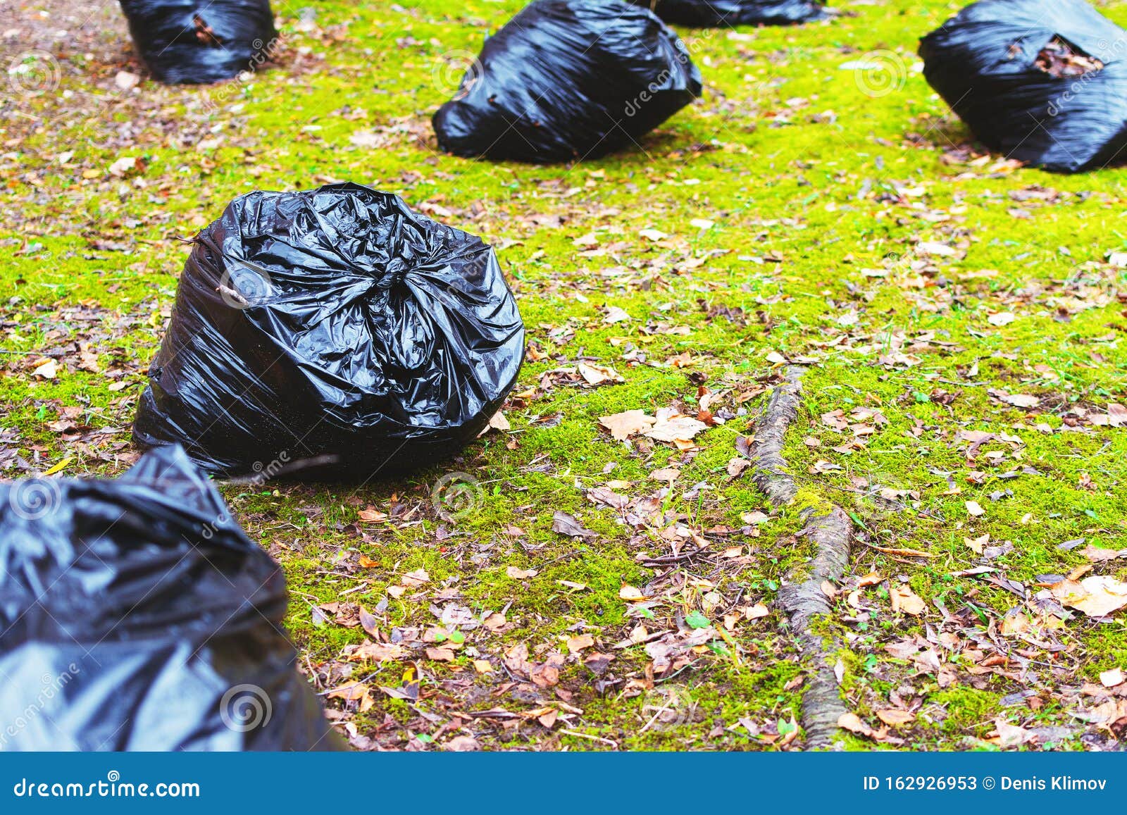 Large black plastic bags stock image. Image of green 162926953