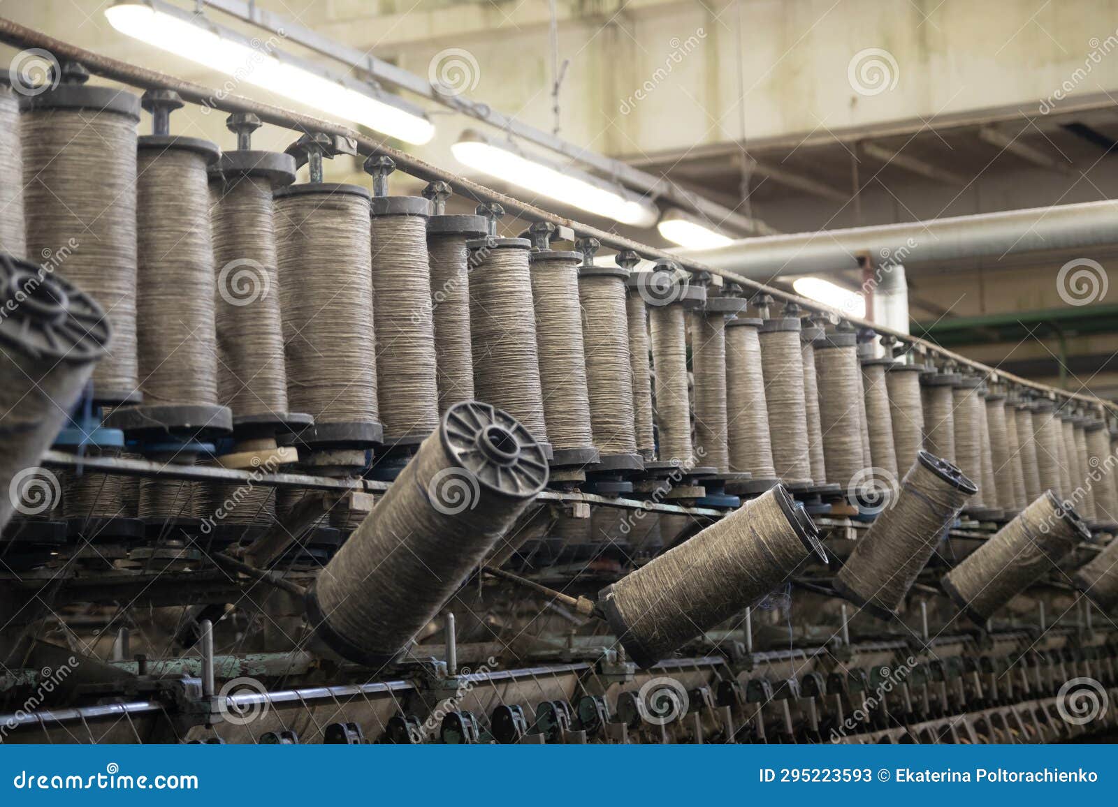 Large Bobbins of Flax Threads for Fabrics .Flax Processing Plant, Fabric Production. Flax is