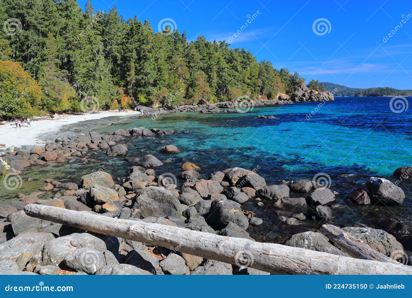 vancouver island, clear turquoise water at aylard beach, east sooke wilderness park, british columbia