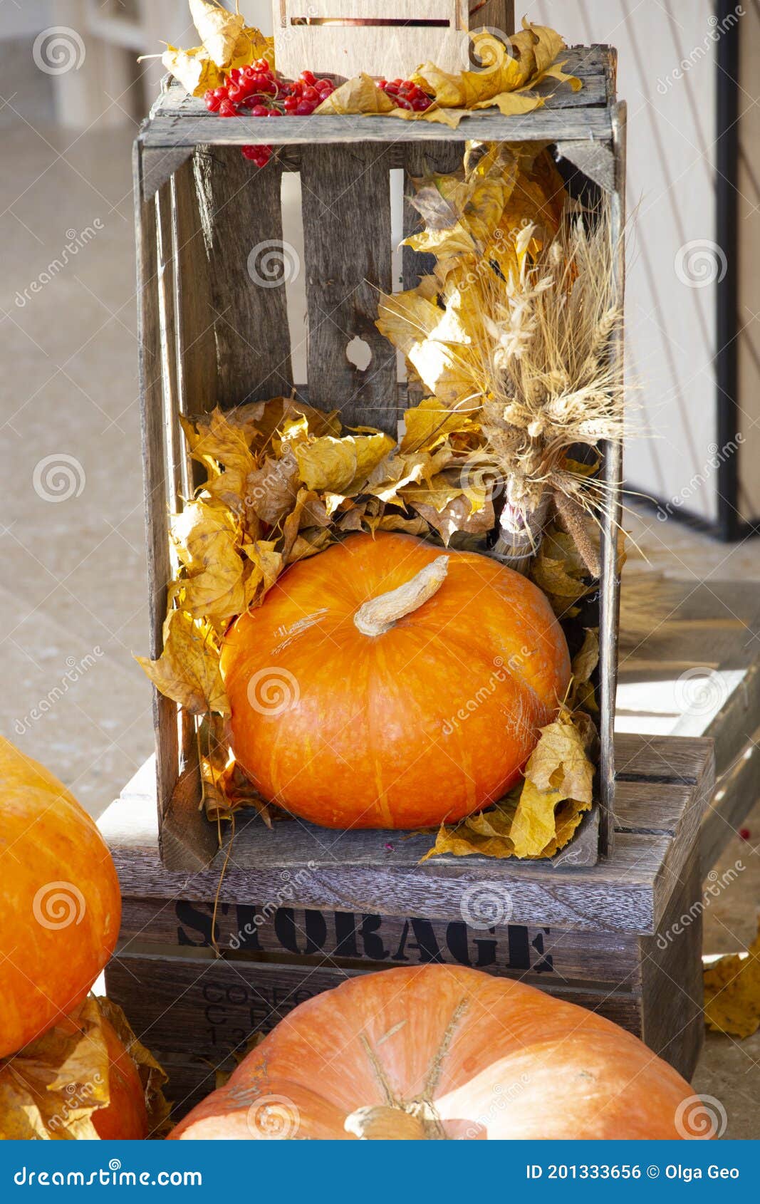 a large bright ripe pumpkin jackolantern vertical