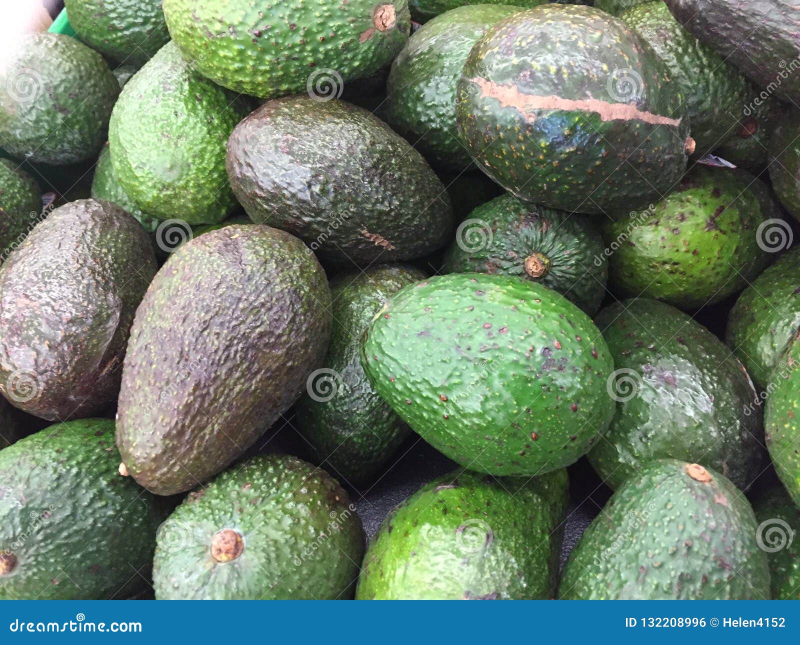 Fresh Avocados Sold at Market Stock Photo - Image of sold, market