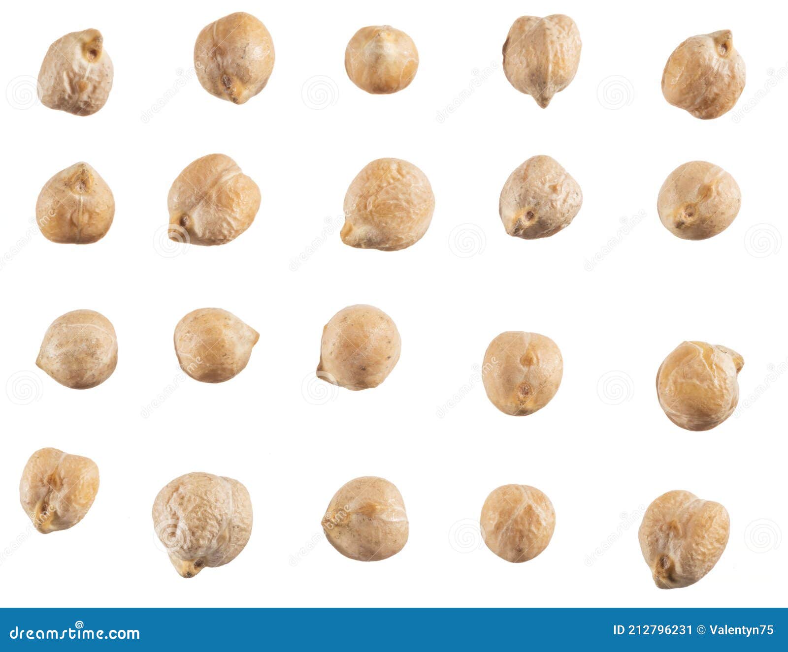 Large Chickpea or Garbanzo Beans Isolated on White Background Stock