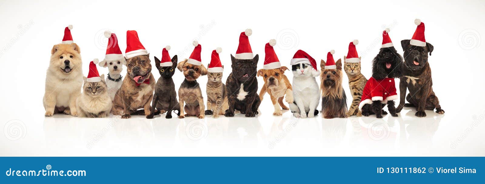 Santa Claus Dog Fancy Dress Father Christmas Pet Animal Festive Fun Xmas Costume 