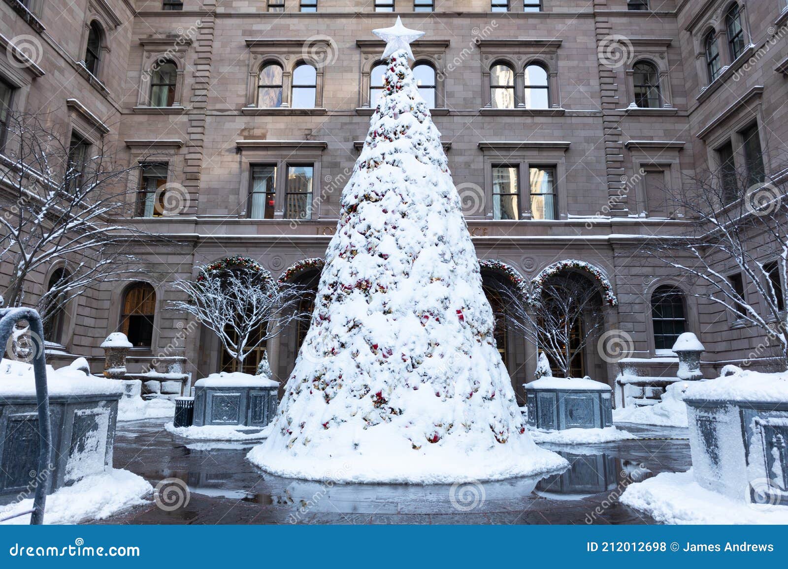 Christmas Tree Covered in White Snow at the Lotte New York Palace Hotel in  Midtown Manhattan of New York City Editorial Stock Photo - Image of york,  beautiful: 212012698