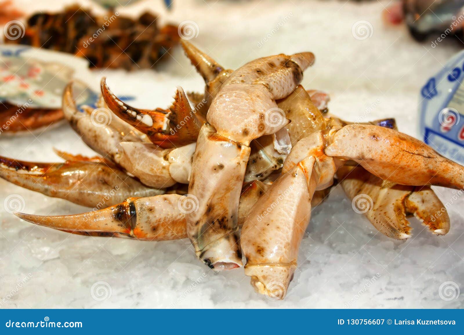 Large crab claws stock image. Image of appetite, gourmet - 130756607